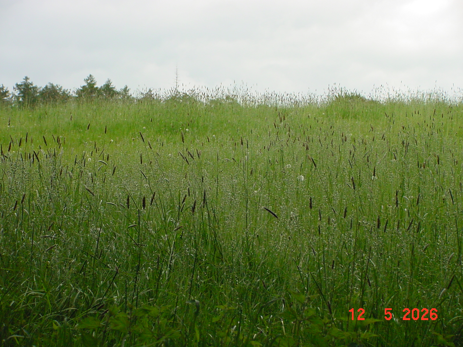 DSC00407.JPG