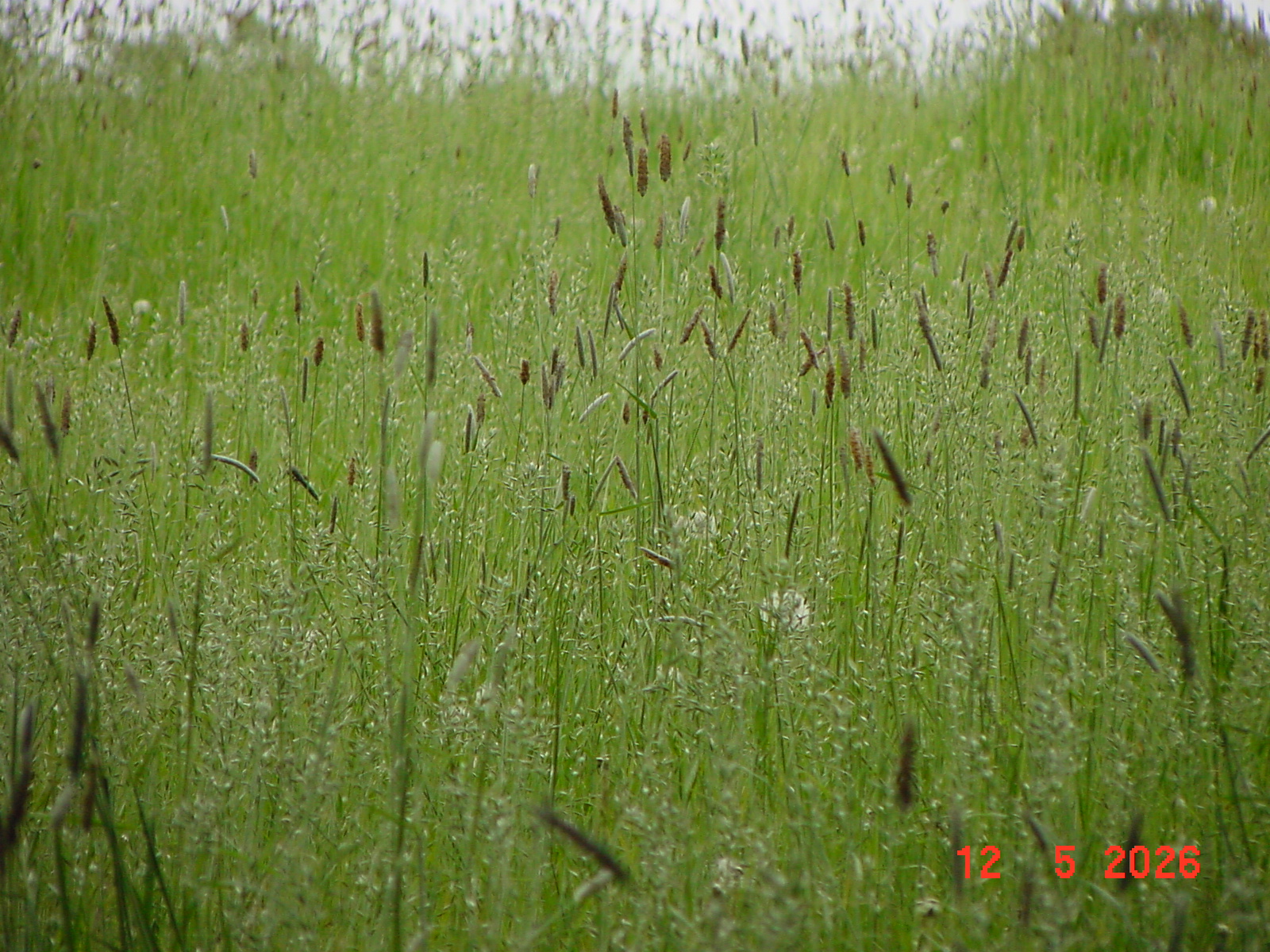 DSC00408.JPG