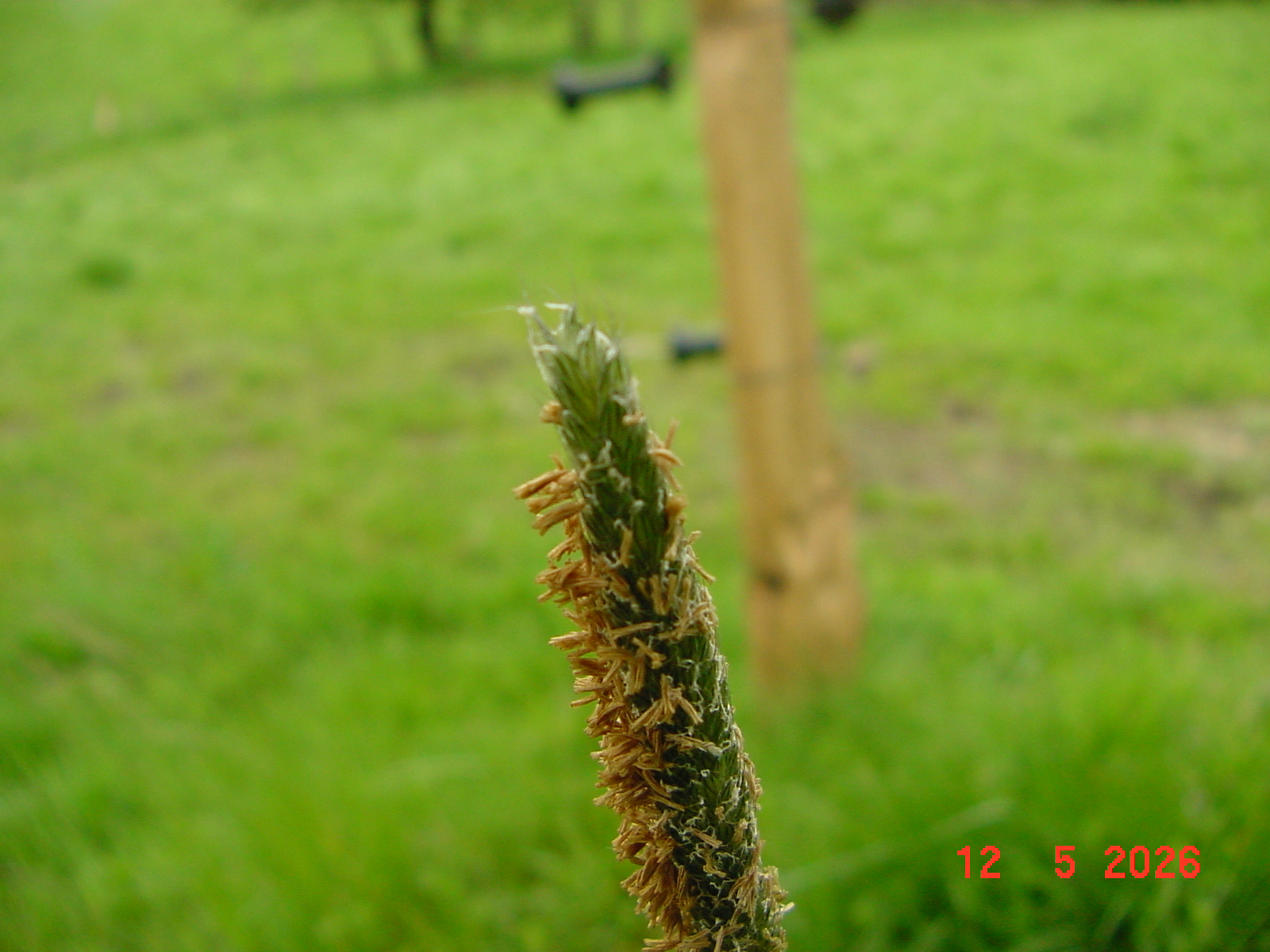 DSC00418.JPG