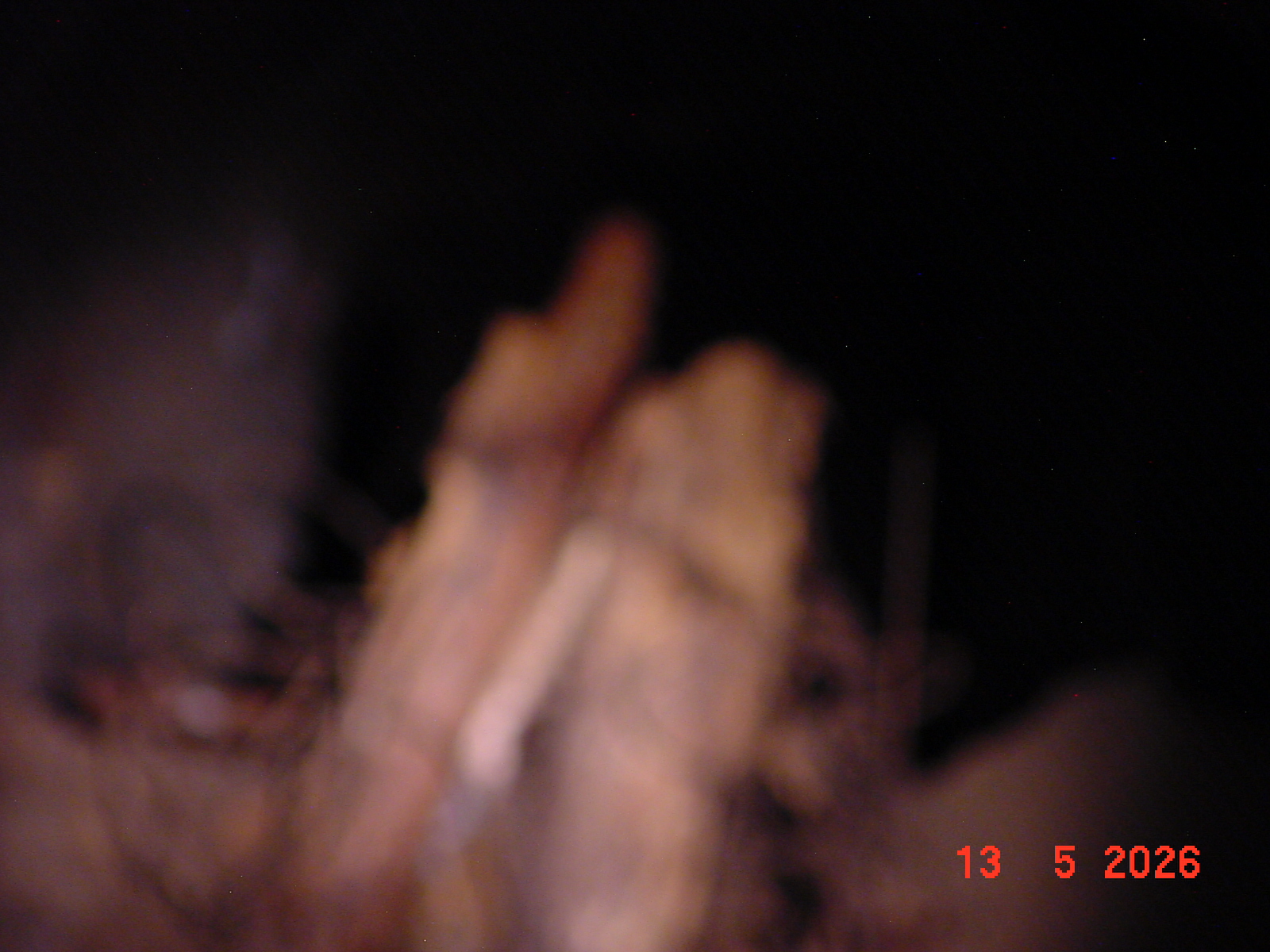 DSC00436.JPG