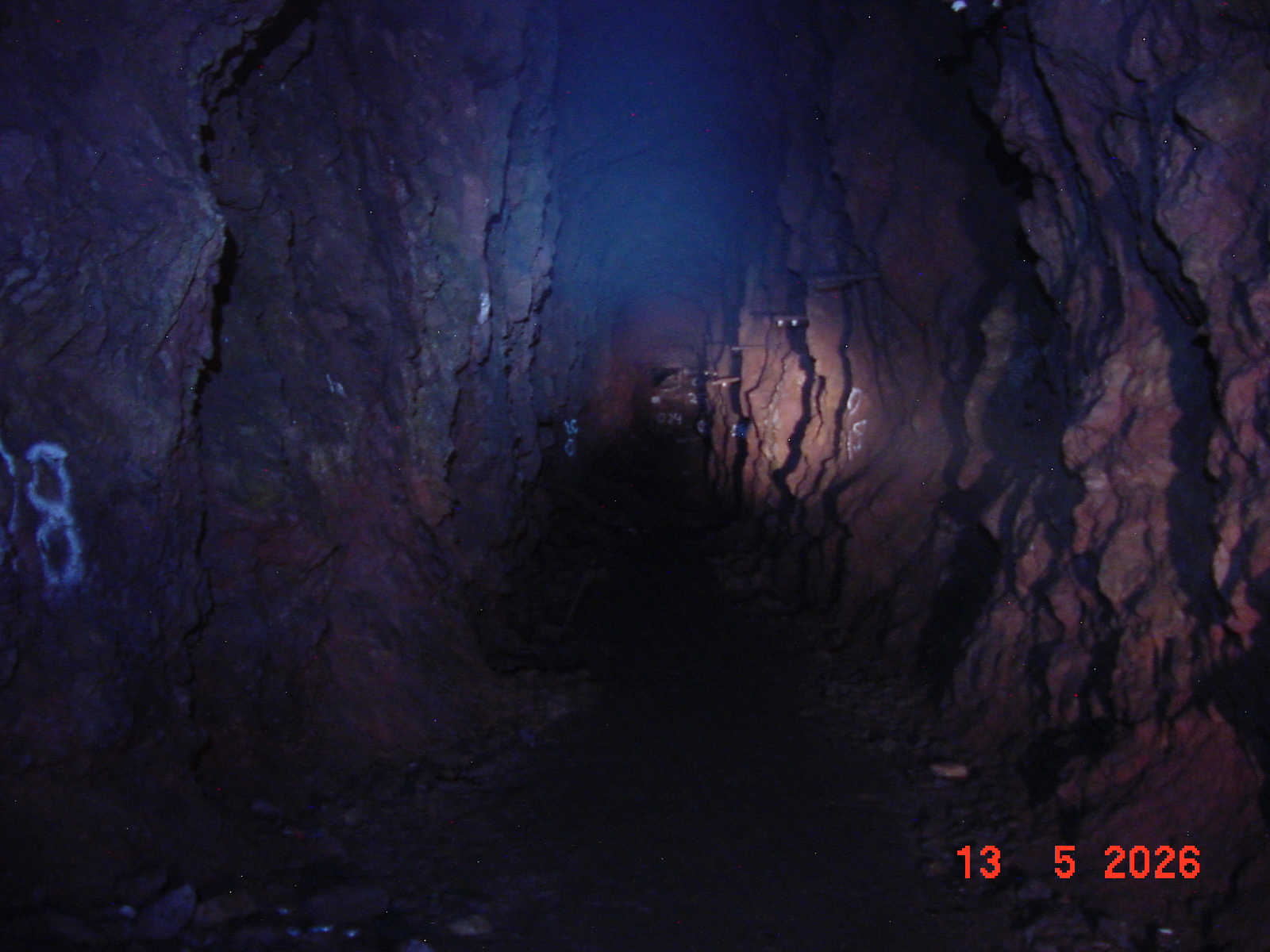 DSC00445.JPG