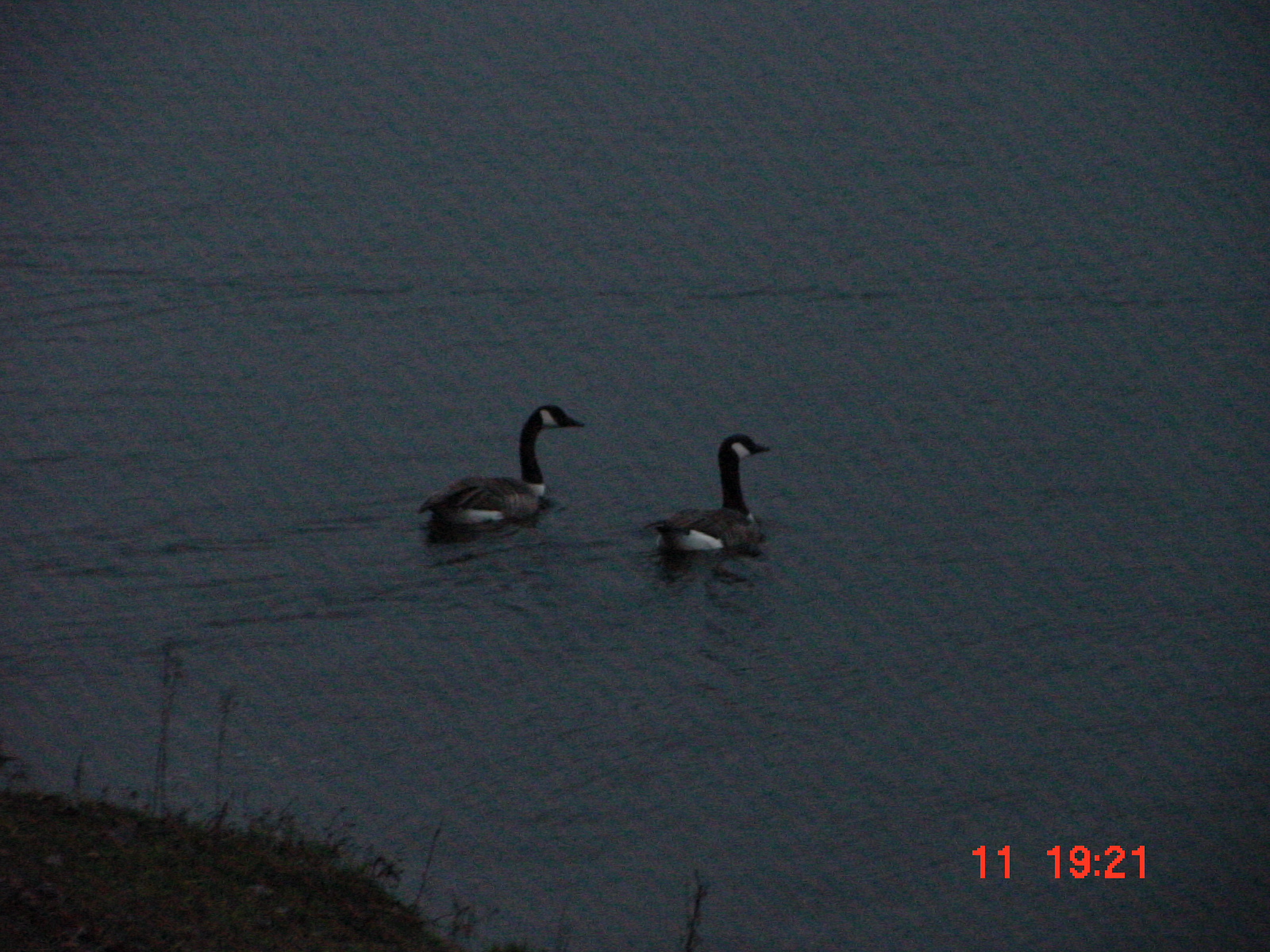 DSC00075.JPG