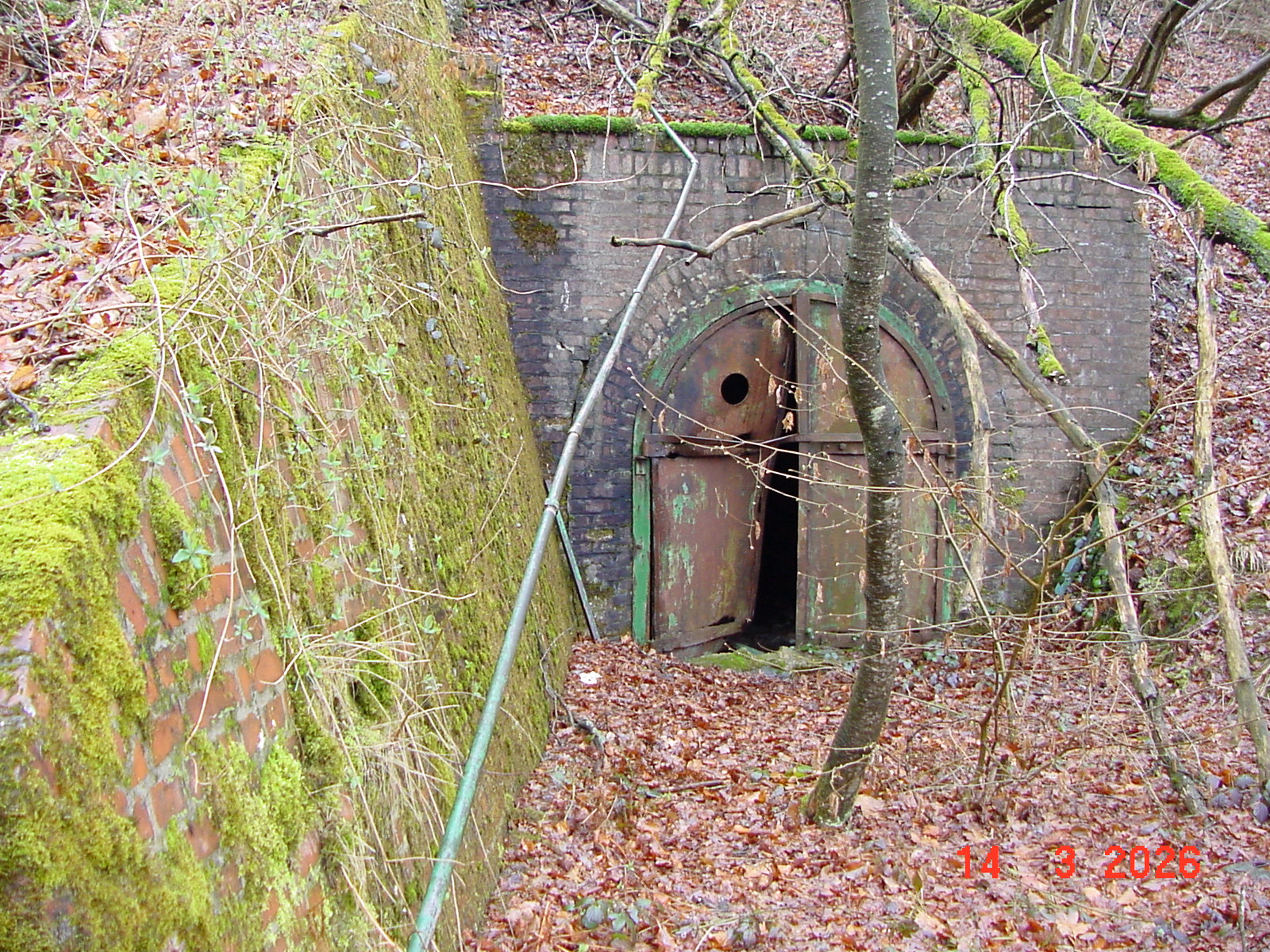 DSC00091.JPG