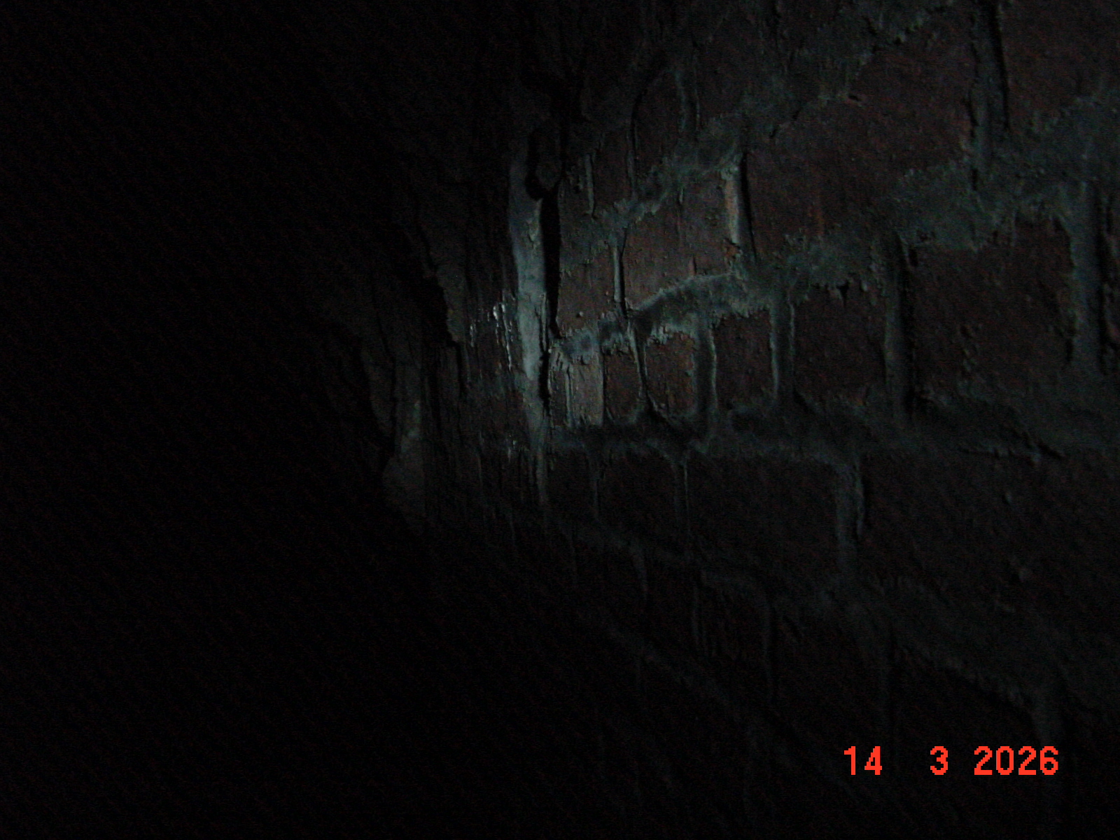 DSC00094.JPG