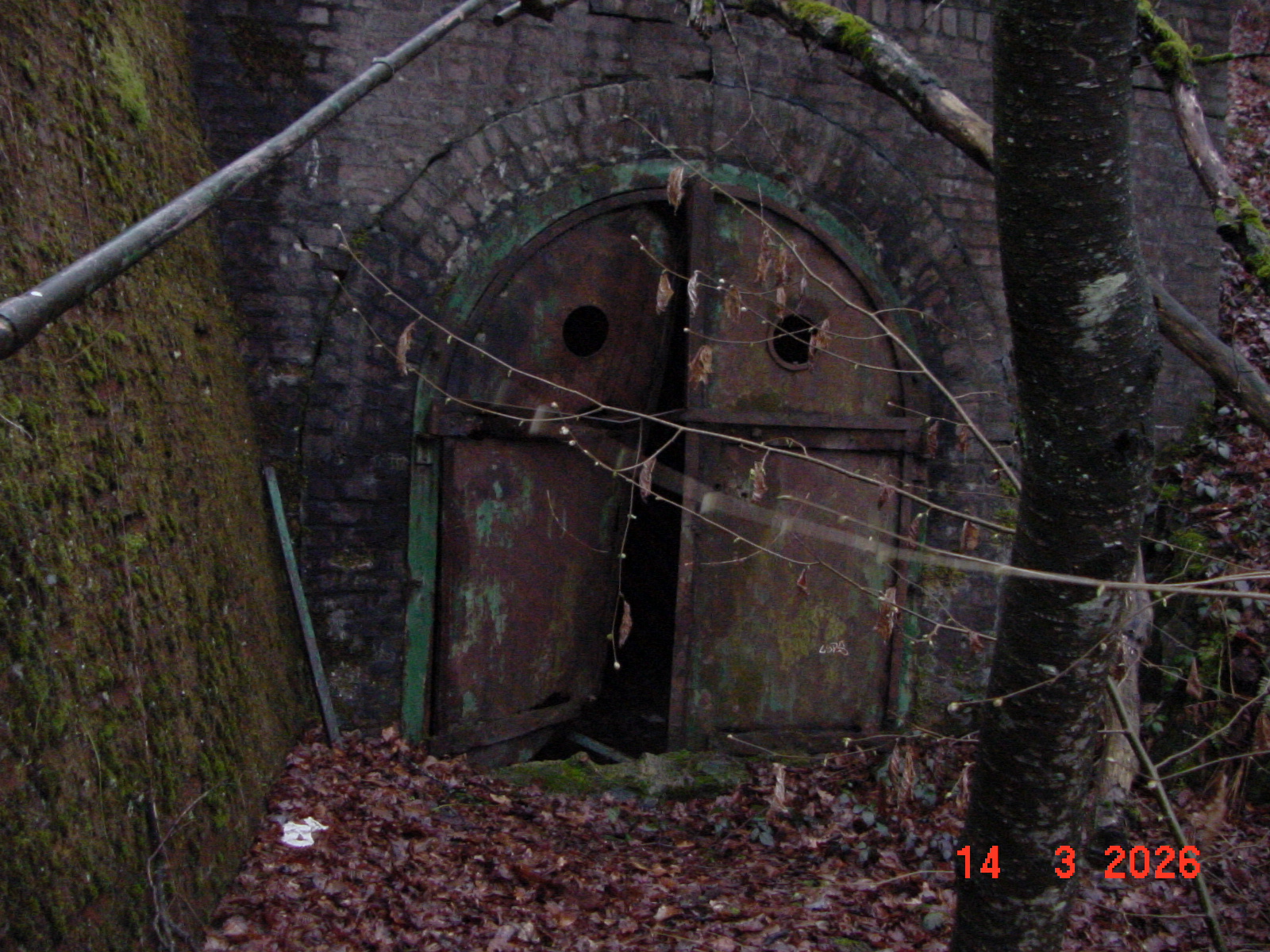 DSC00114.JPG