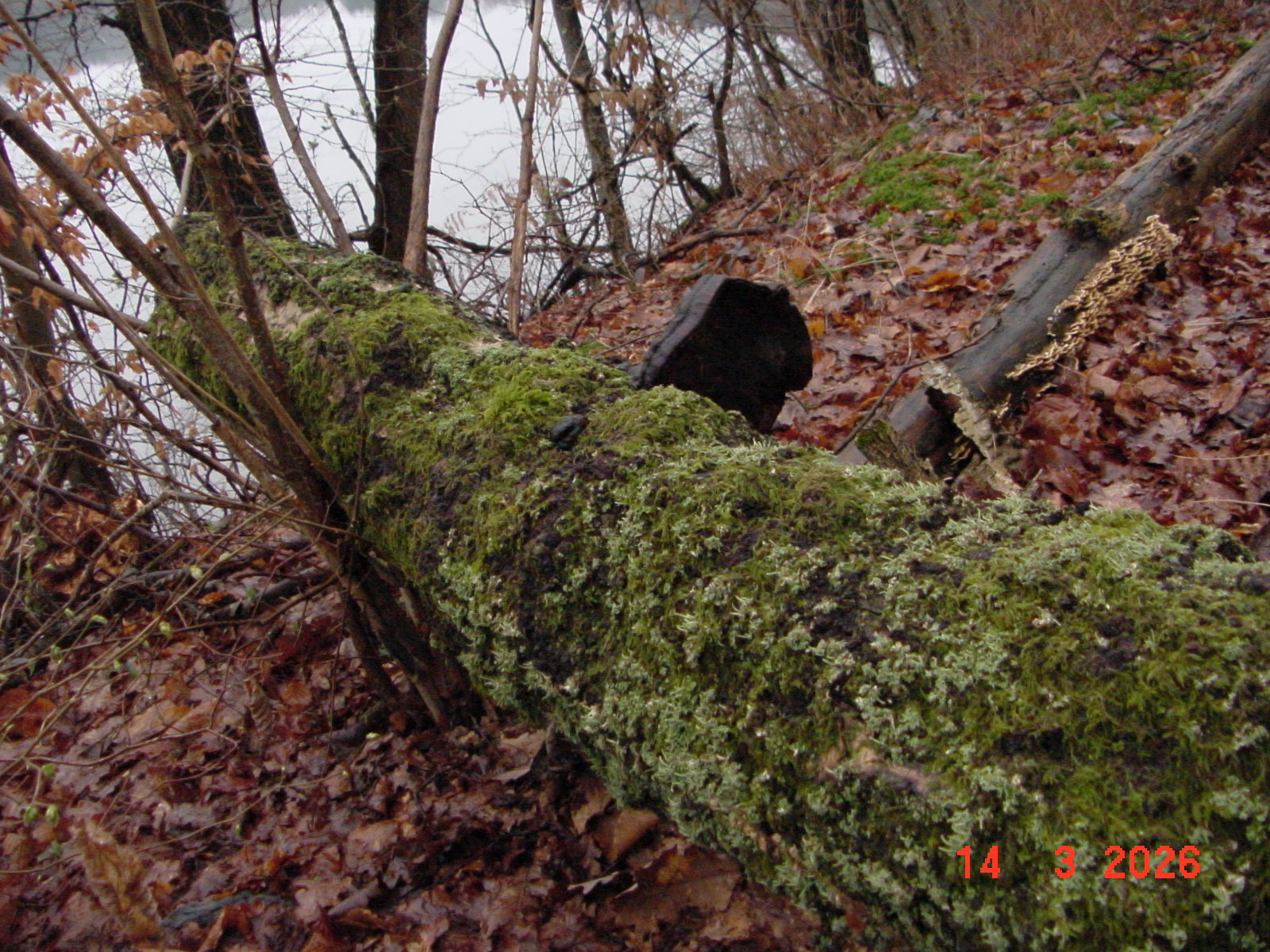 DSC00117.JPG