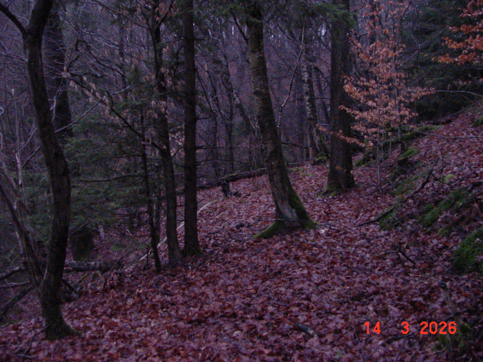 DSC00120.JPG