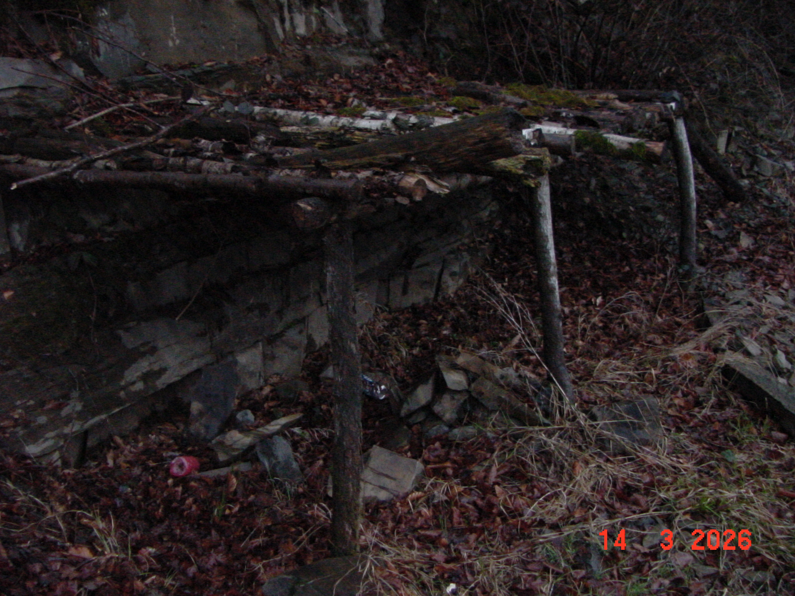 DSC00123.JPG