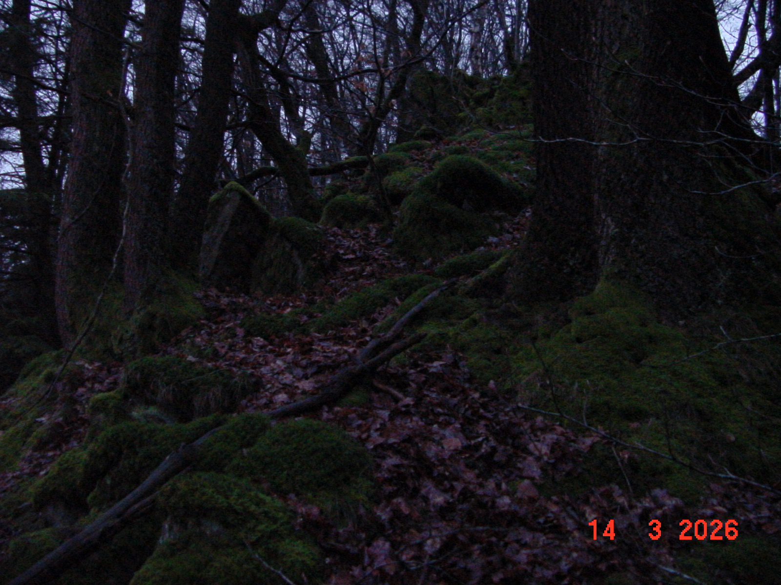 DSC00131.JPG