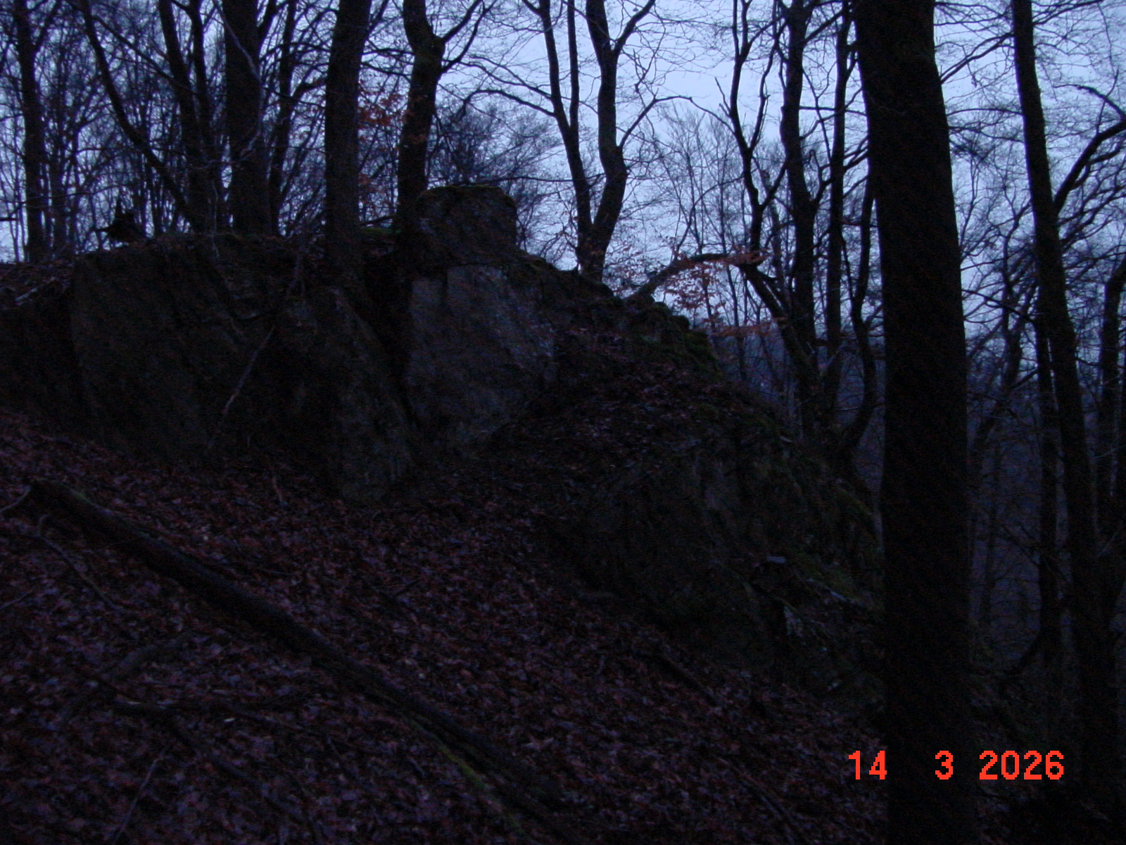 DSC00132.JPG