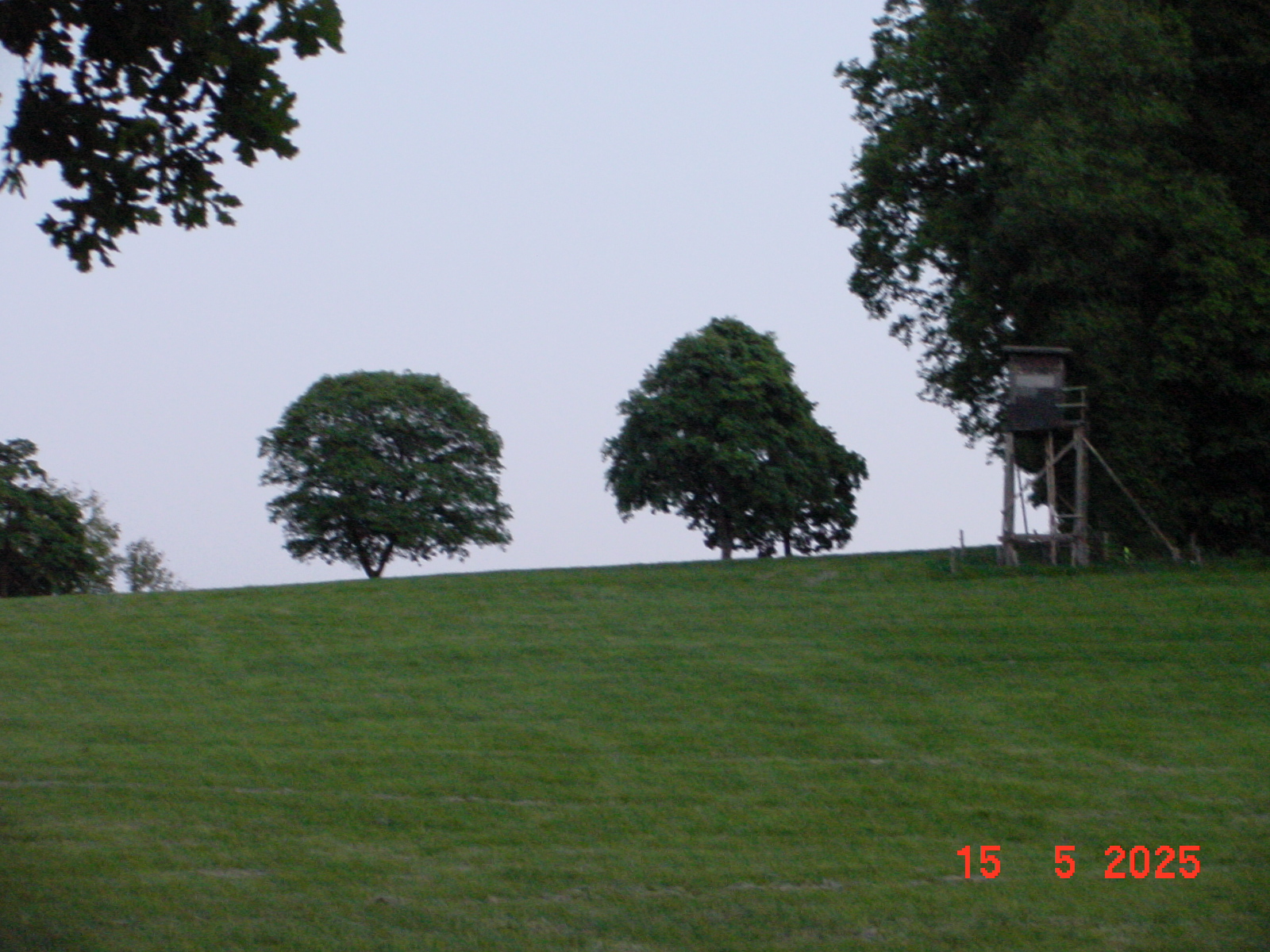 DSC00266.JPG