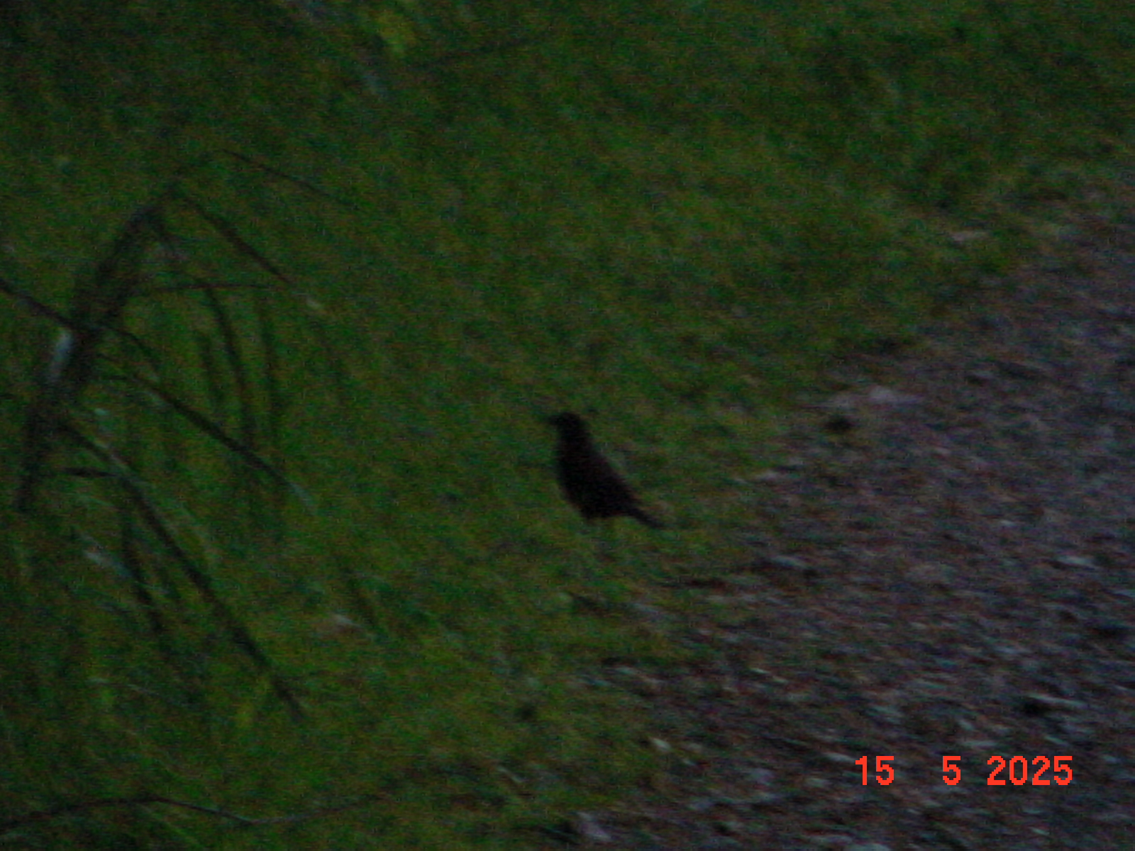 DSC00269.JPG