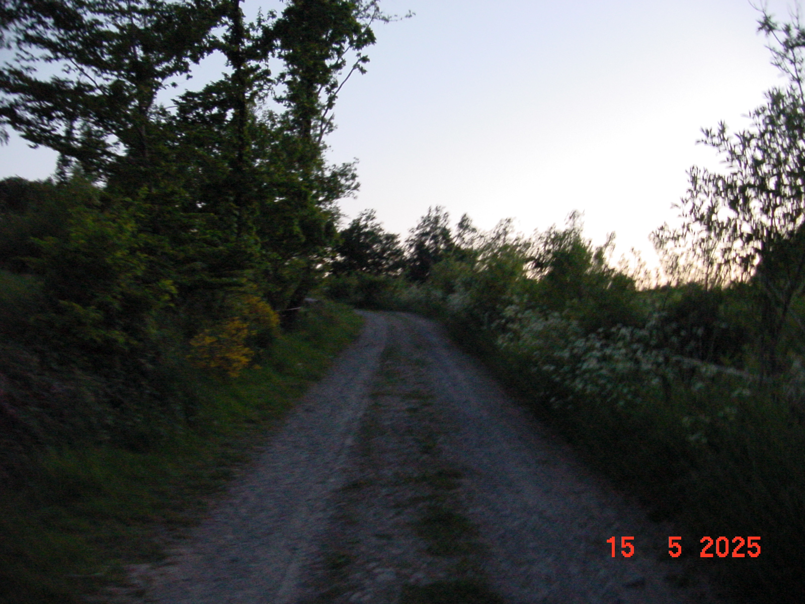 DSC00271.JPG