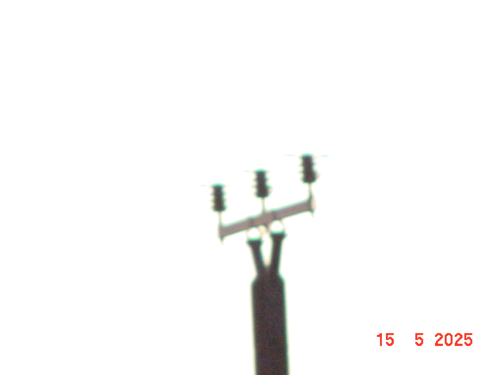 DSC00277.JPG