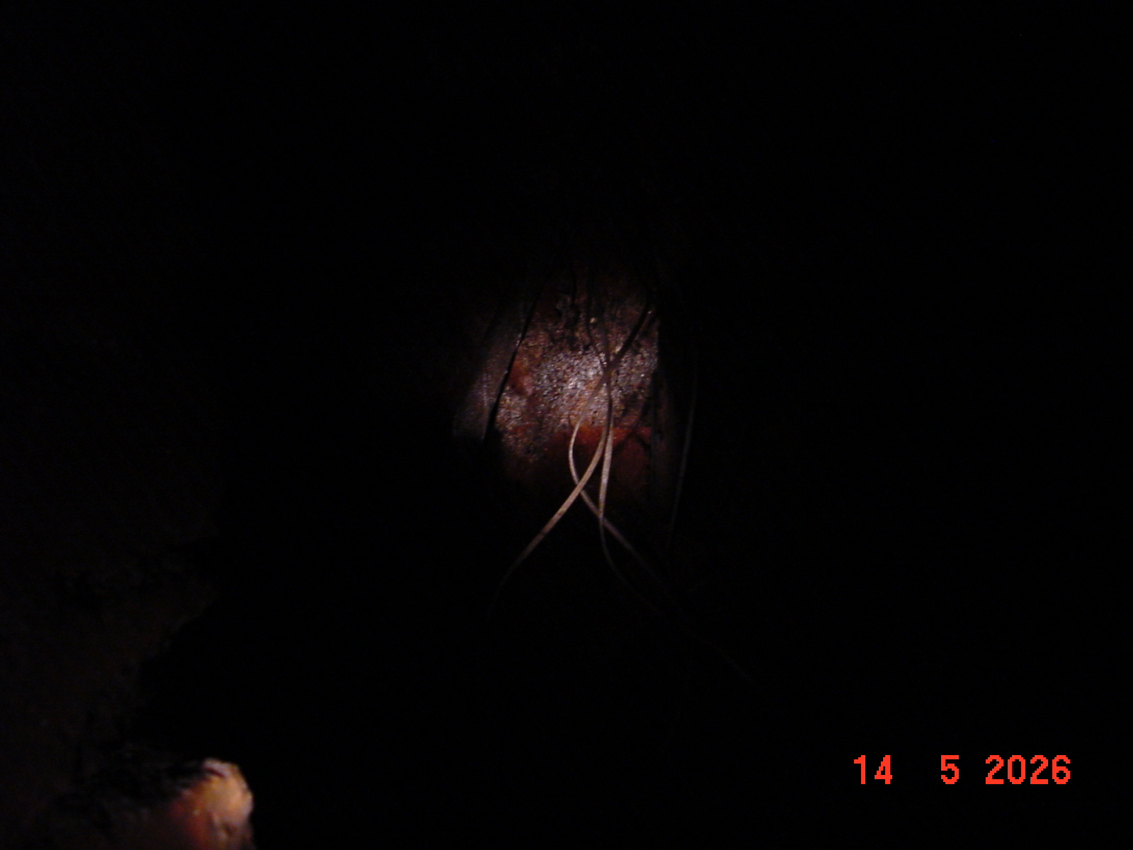 DSC00478.JPG