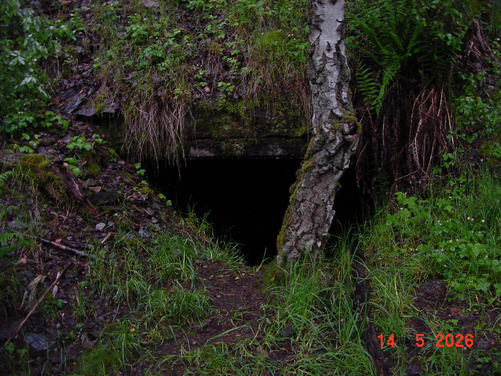 DSC00494.JPG