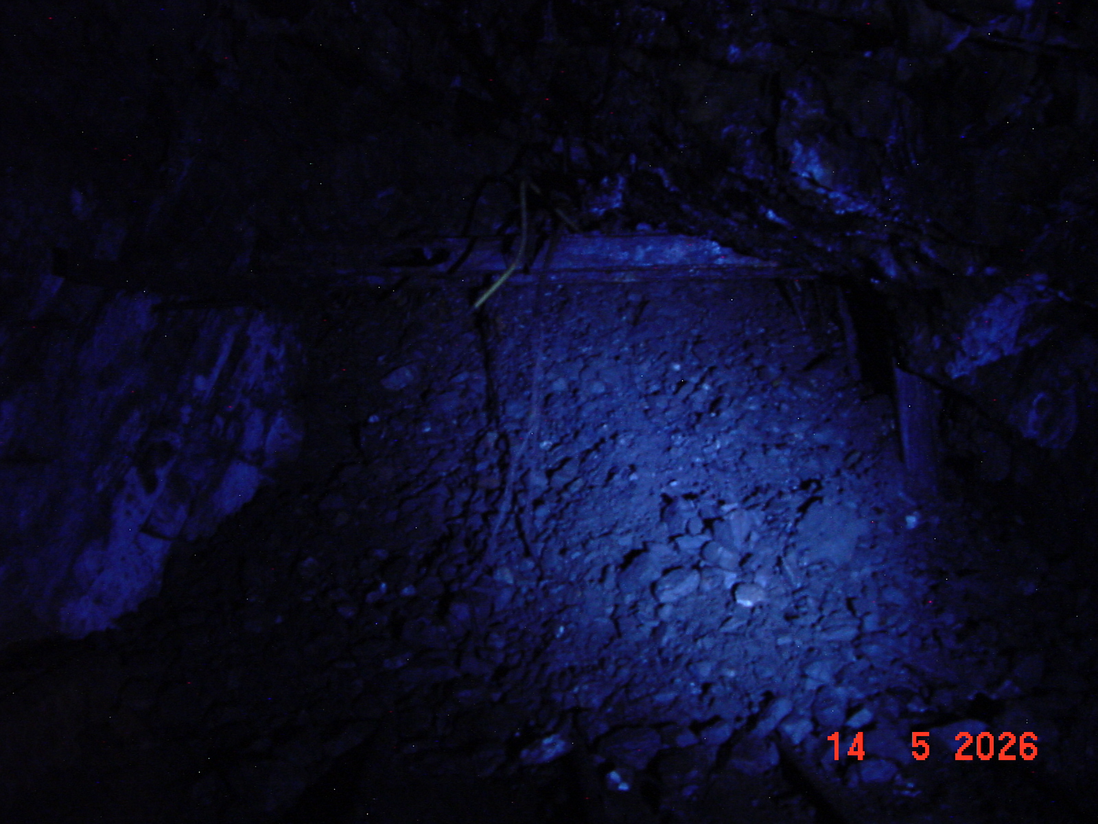 DSC00505.JPG