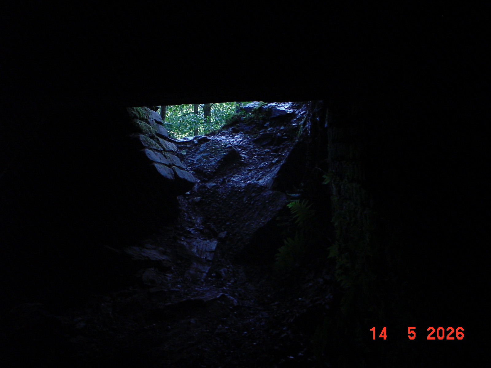 DSC00515.JPG
