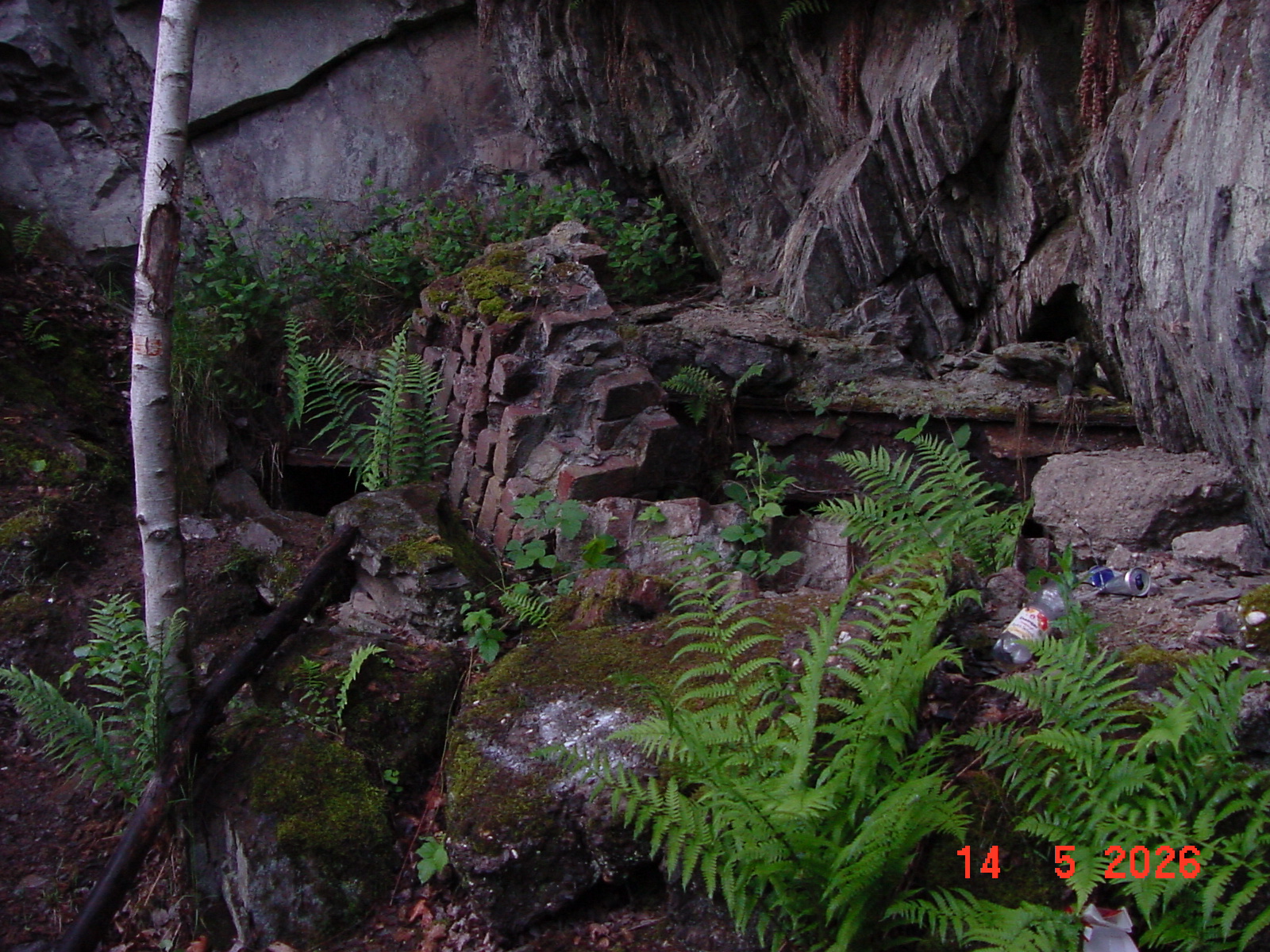 DSC00517.JPG