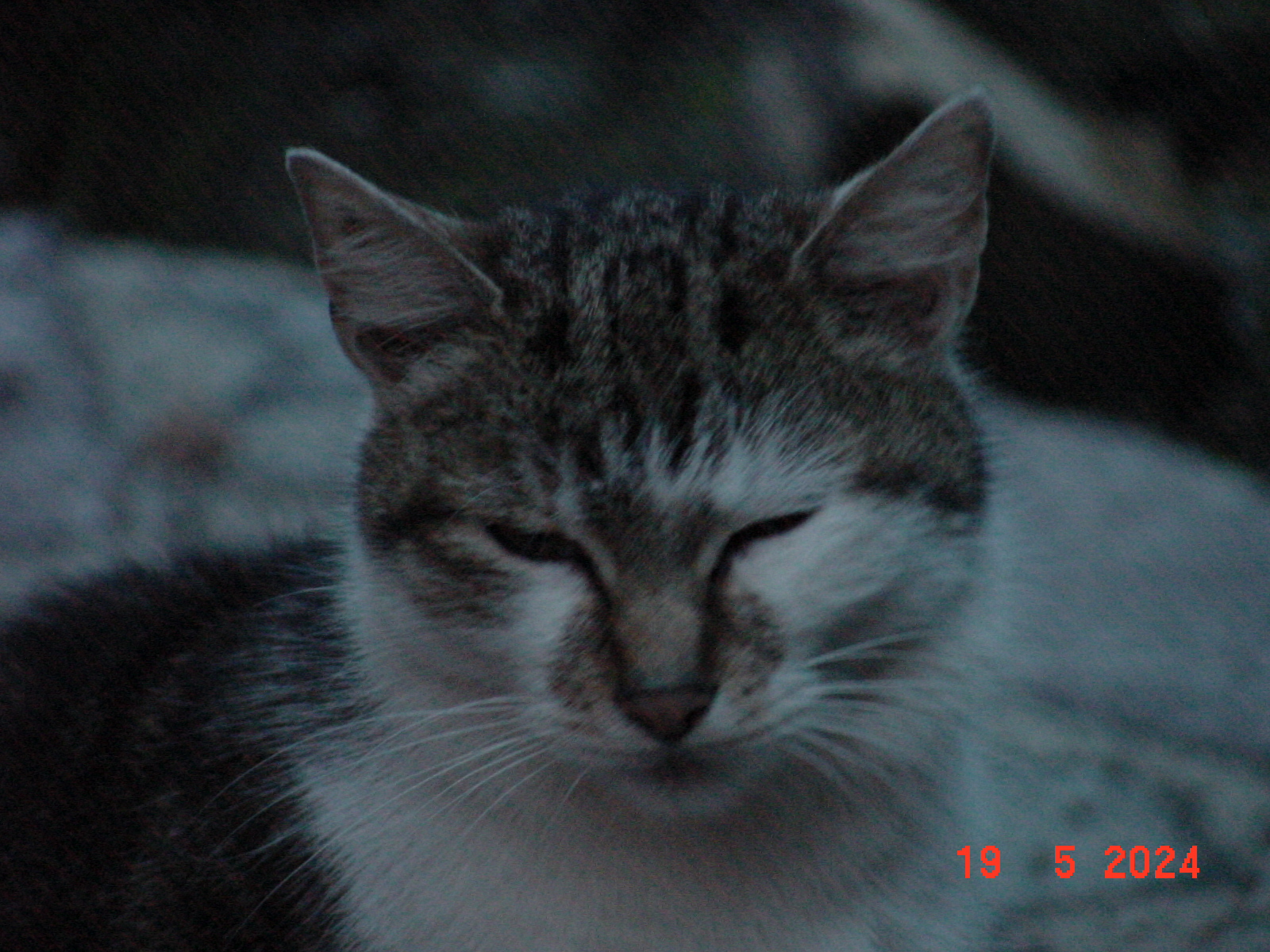 DSC00027.JPG