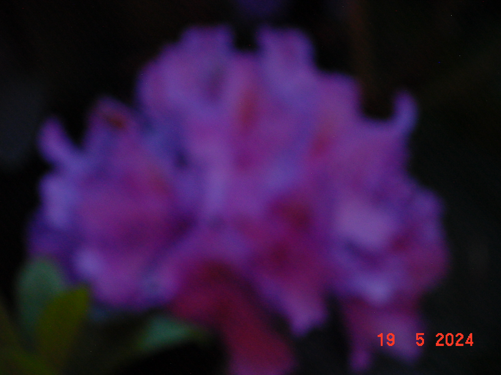 DSC00031.JPG