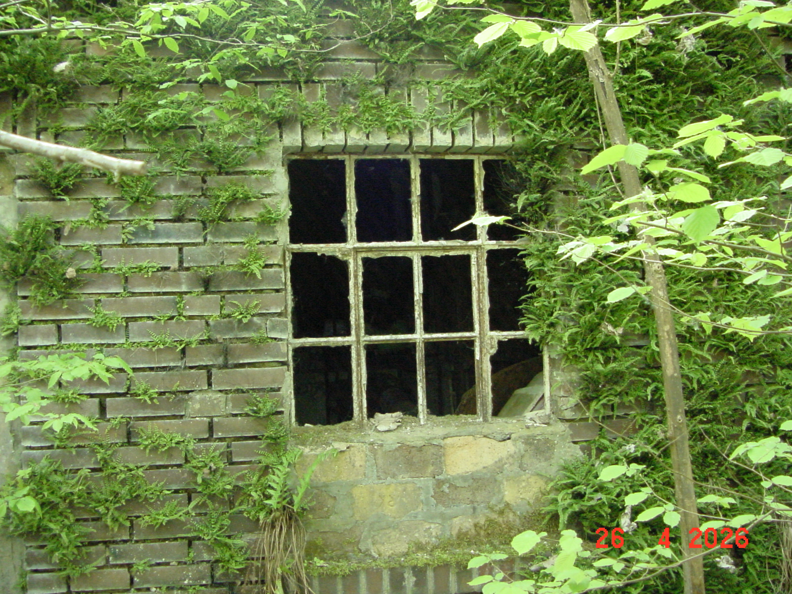 DSC00149.JPG