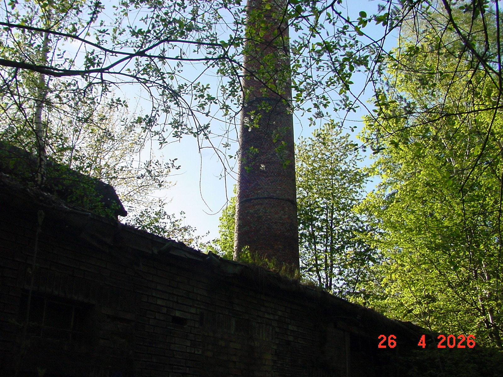 DSC00168.JPG
