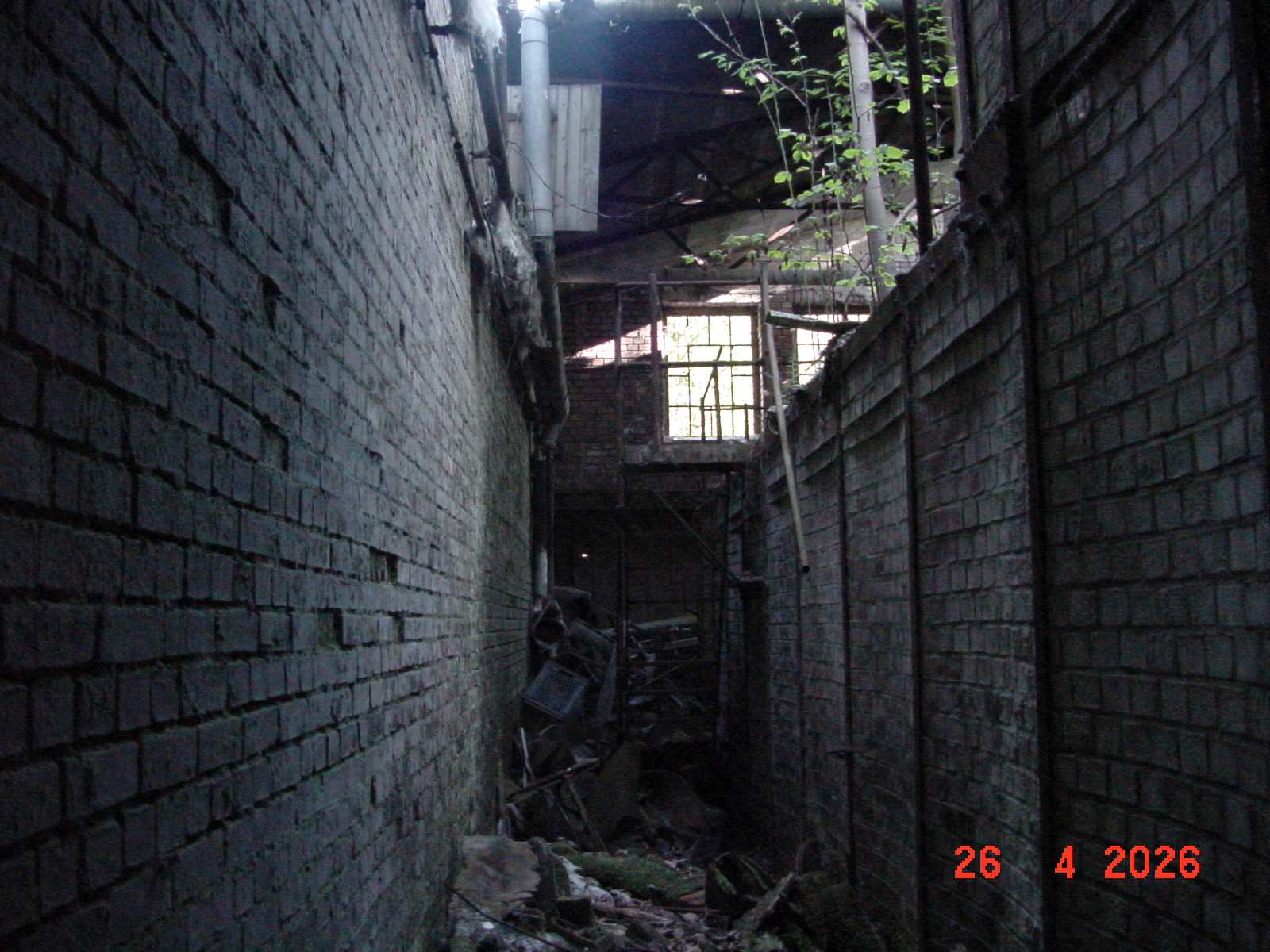 DSC00173.JPG