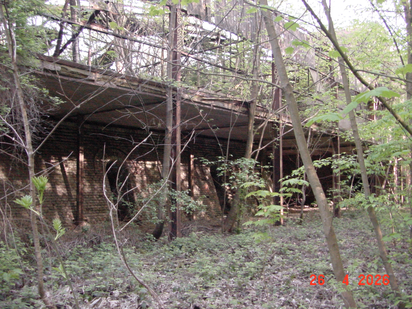 DSC00207.JPG