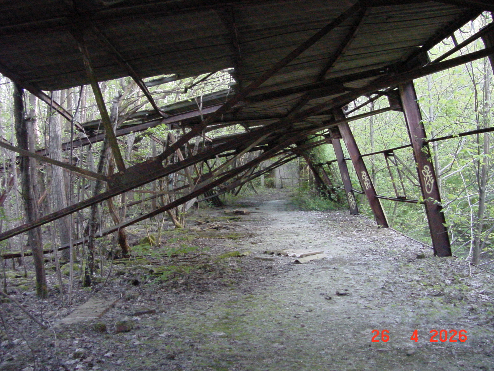 DSC00226.JPG