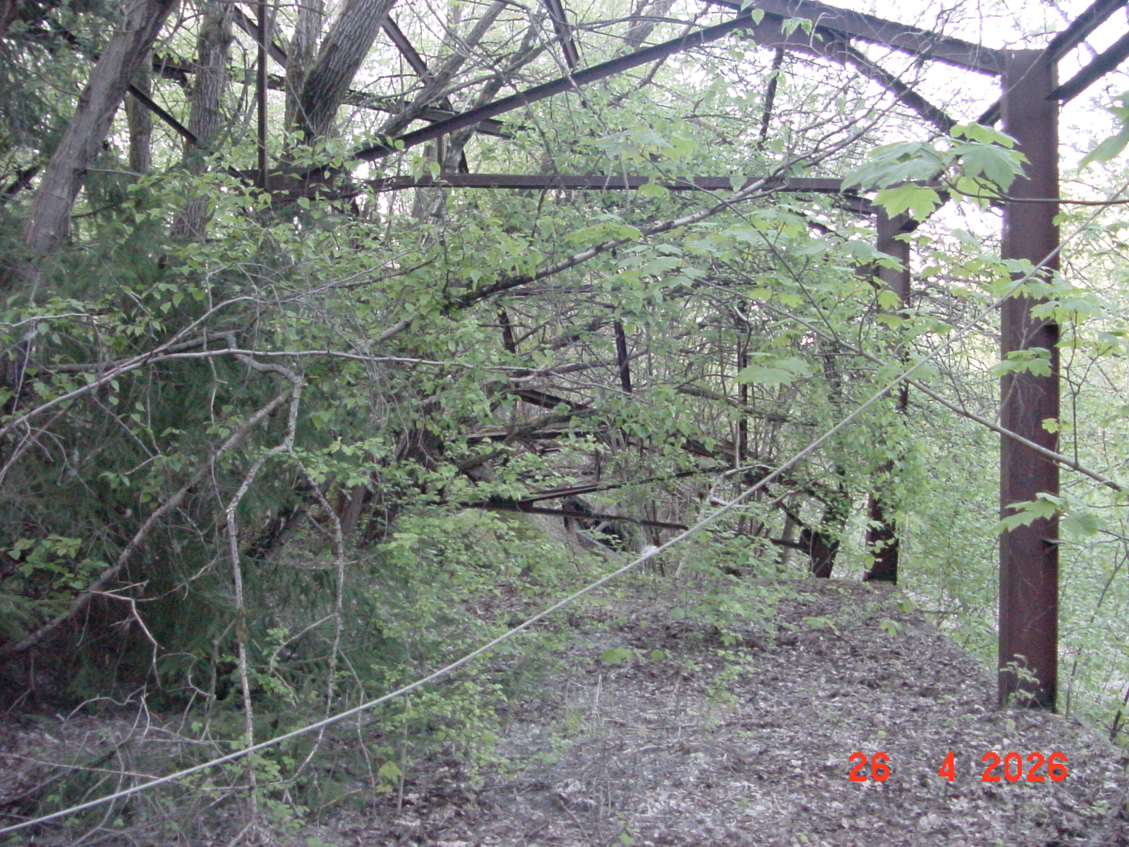 DSC00239.JPG
