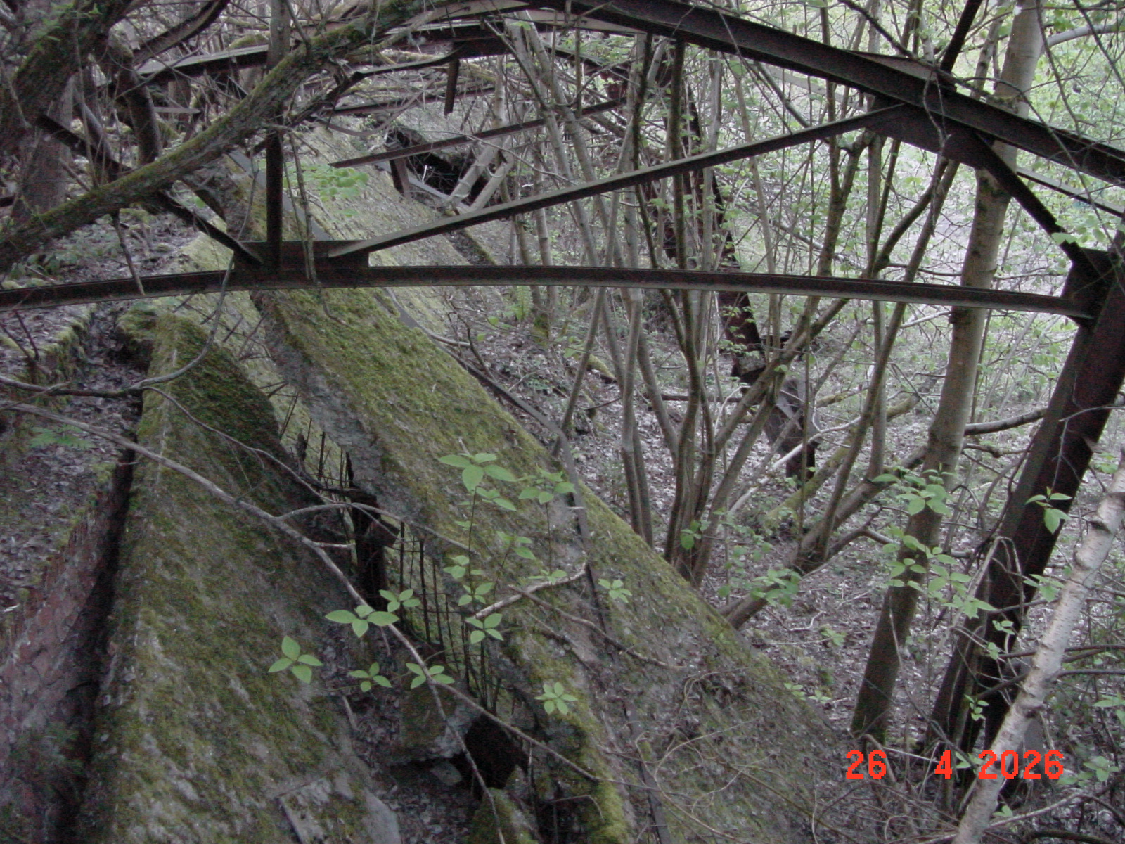 DSC00241.JPG