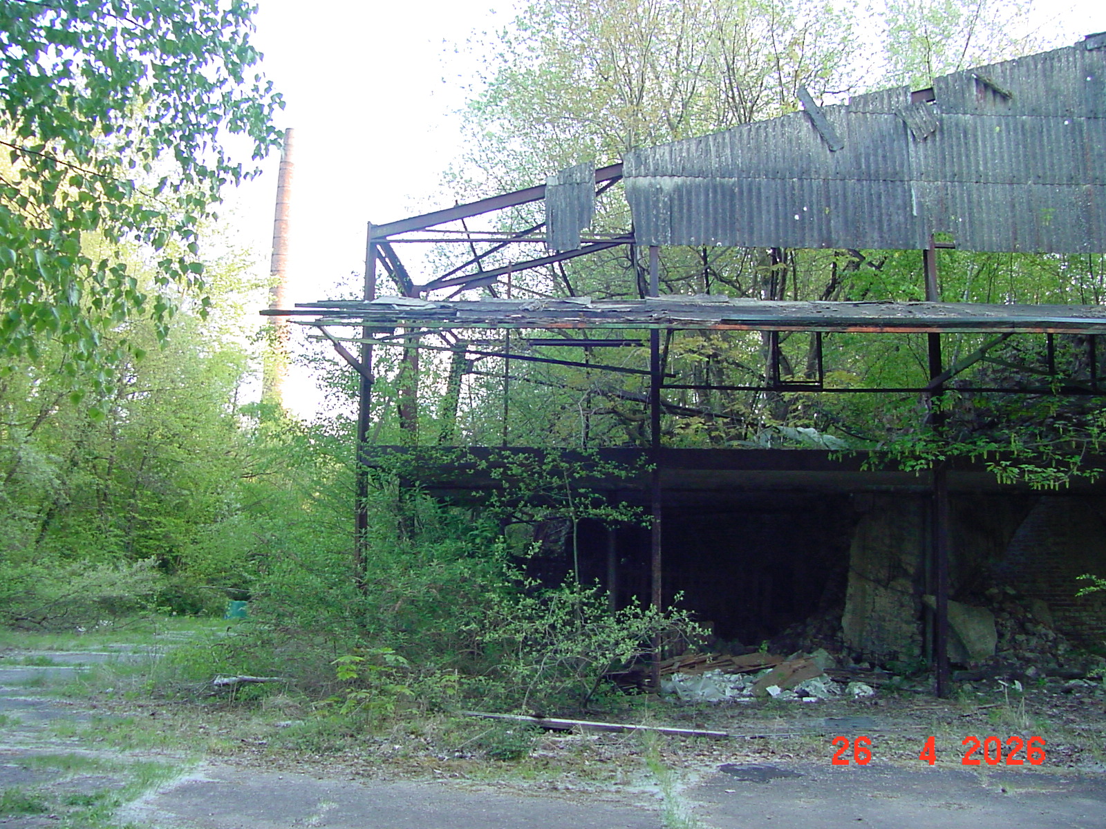 DSC00250.JPG