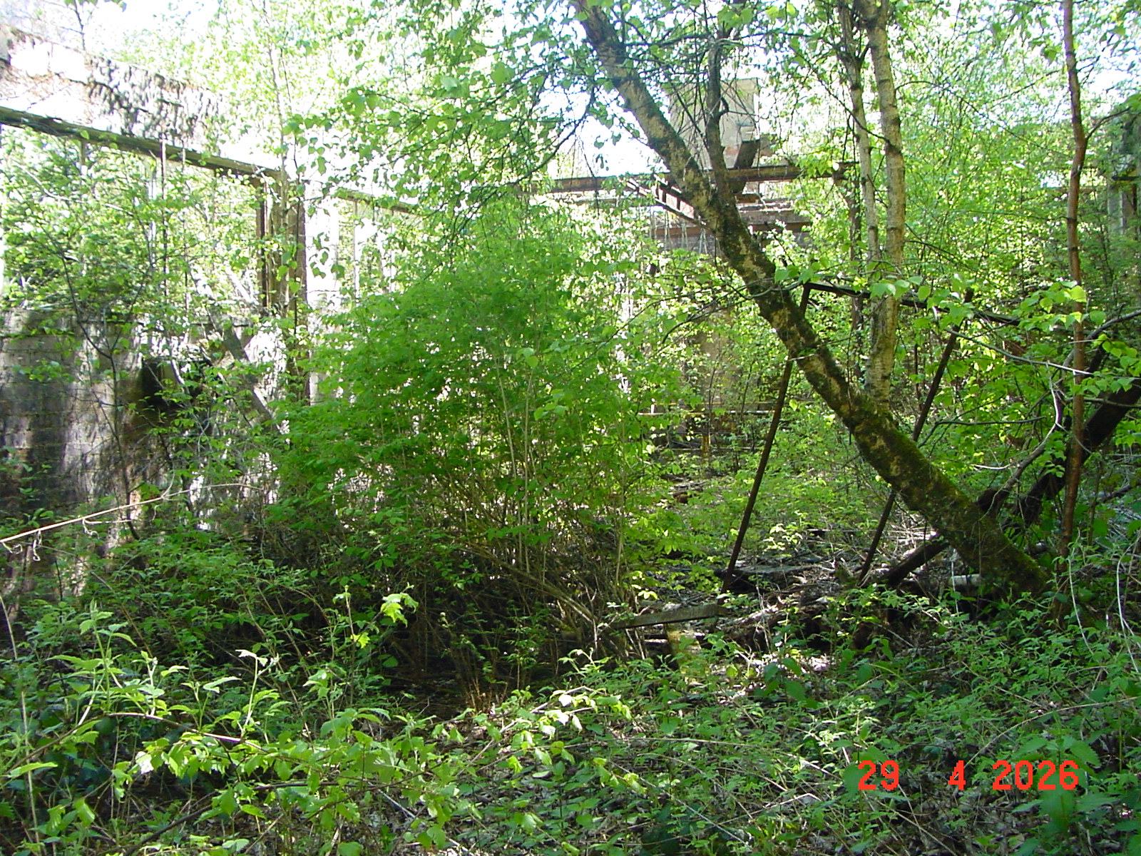 DSC00255.JPG