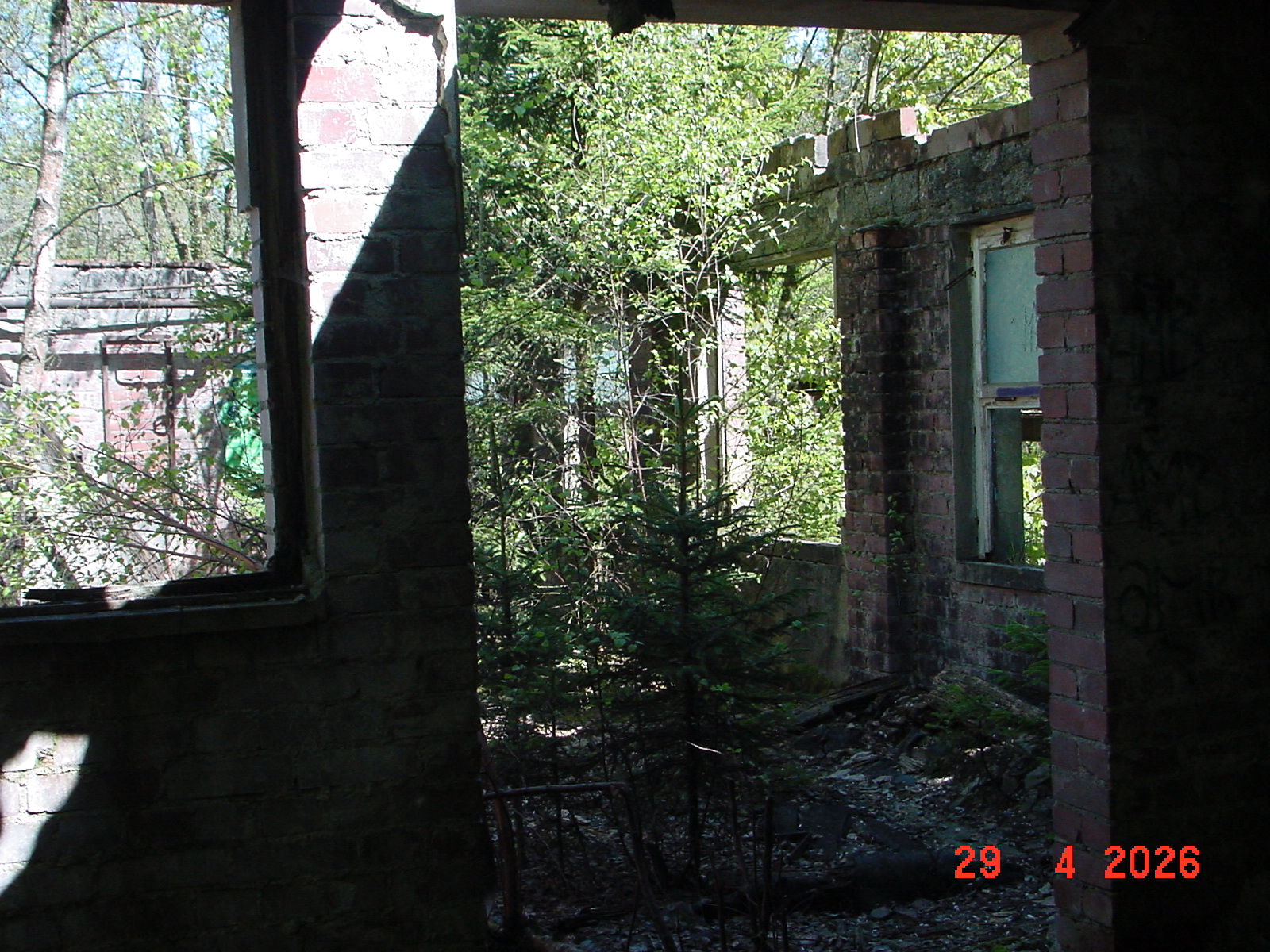 DSC00259.JPG