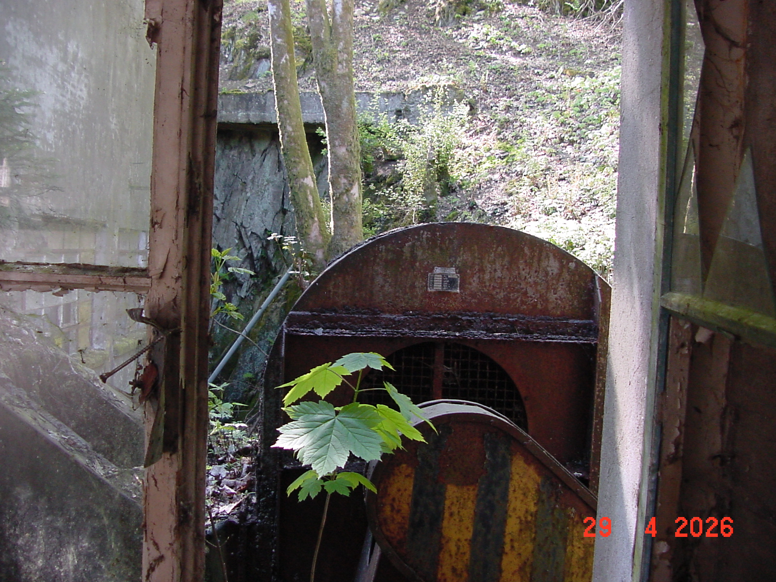 DSC00274.JPG