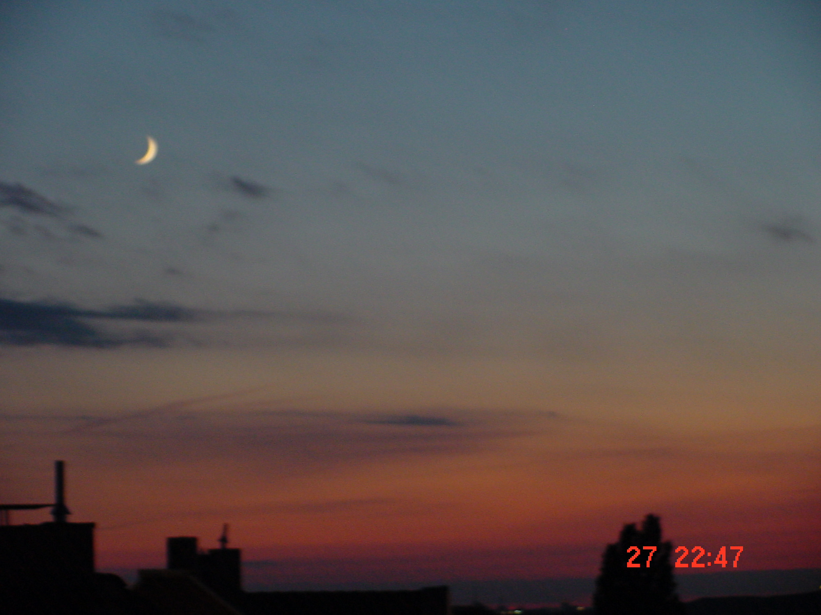 DSC00015.JPG
