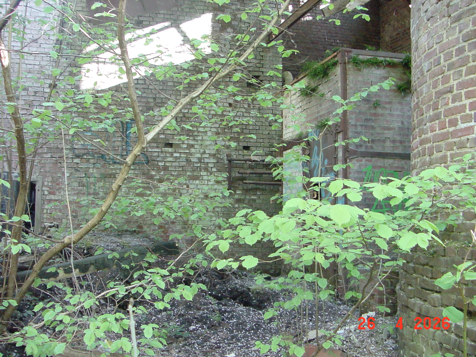 DSC00169.JPG