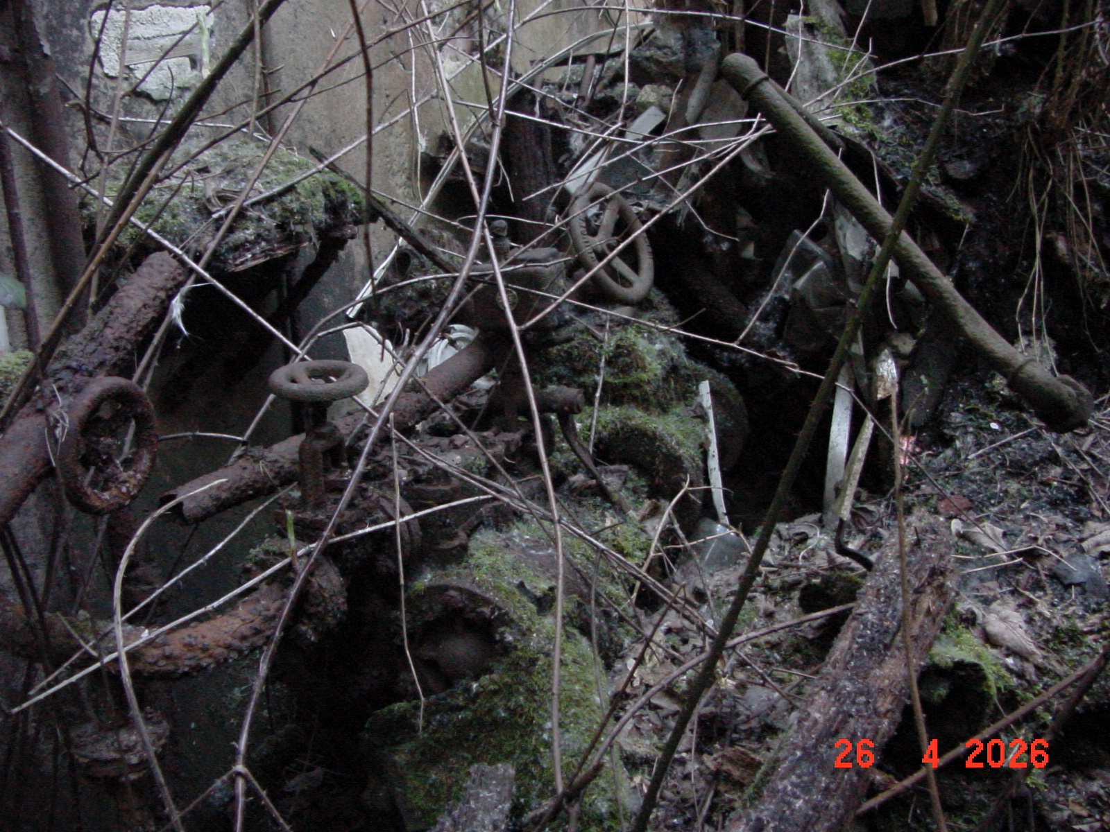 DSC00176.JPG