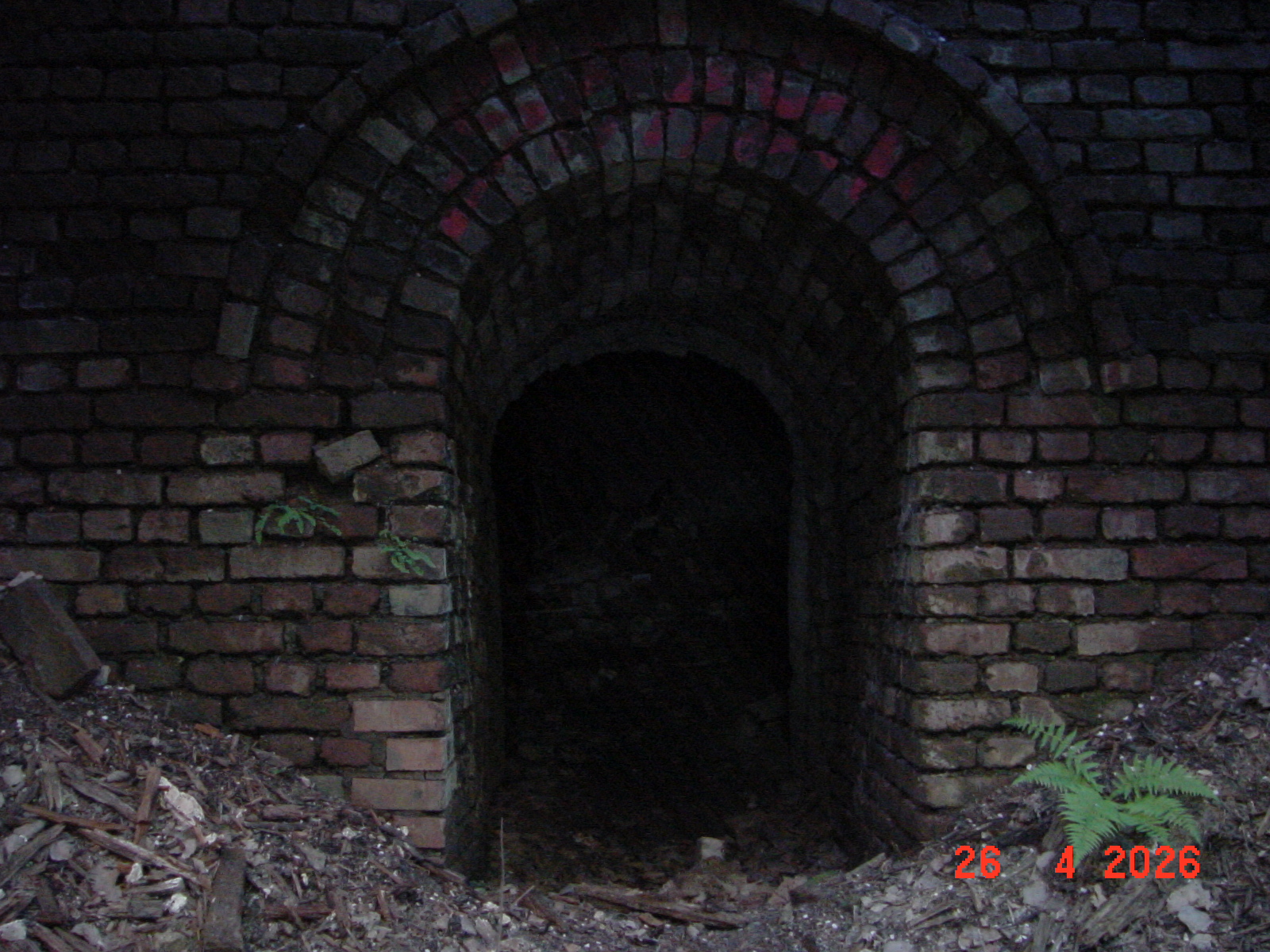 DSC00200.JPG