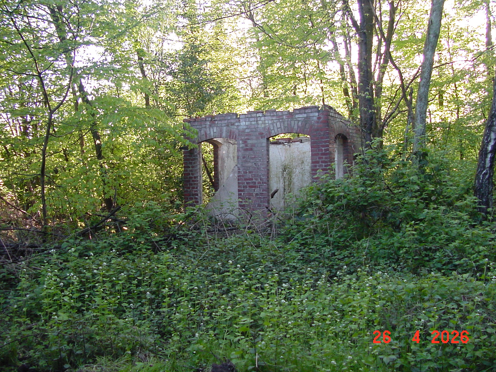 DSC00220.JPG
