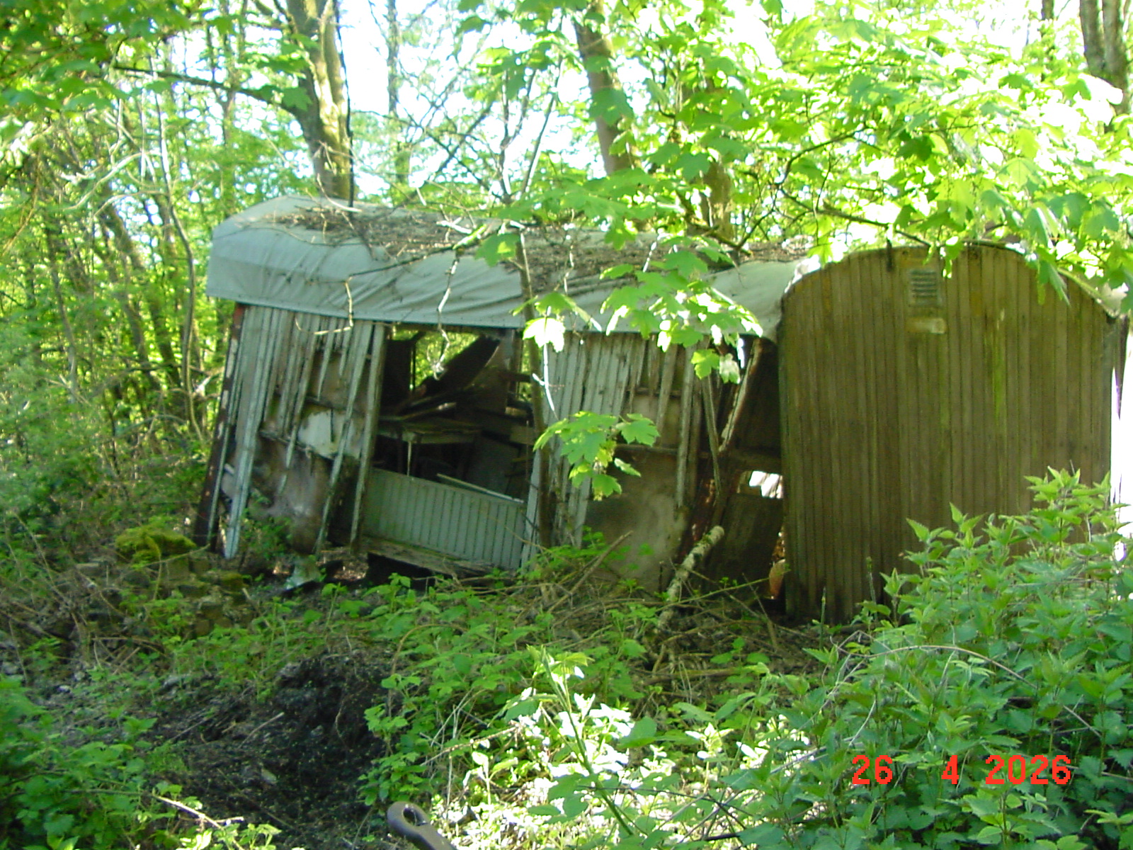 DSC00222.JPG