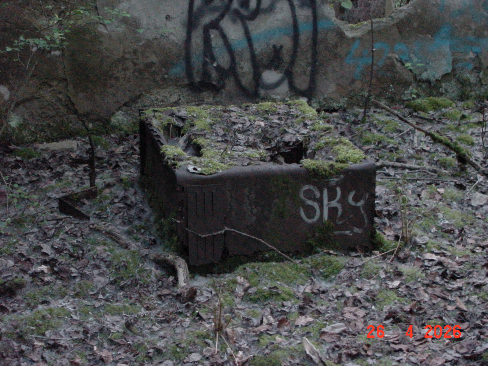 DSC00234.JPG