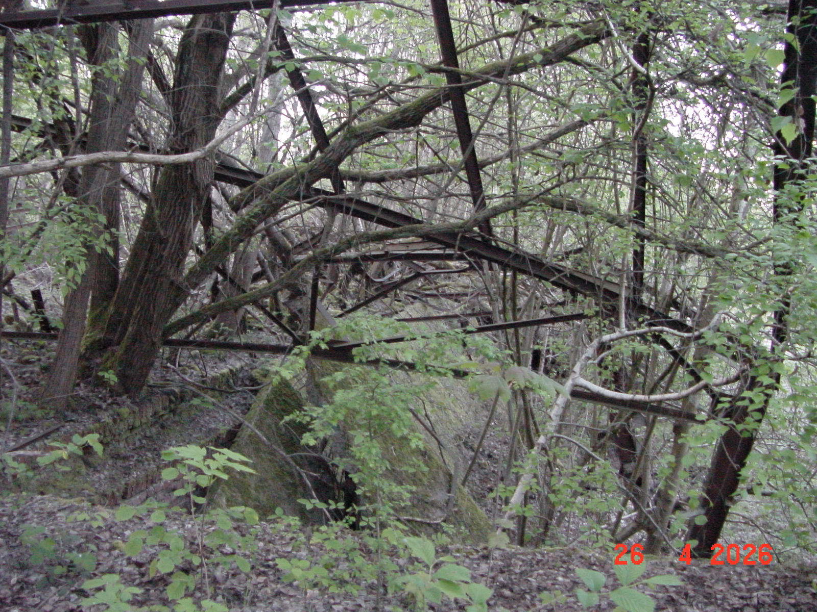 DSC00240.JPG