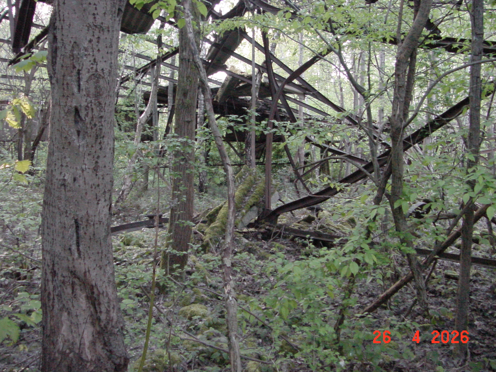 DSC00242.JPG