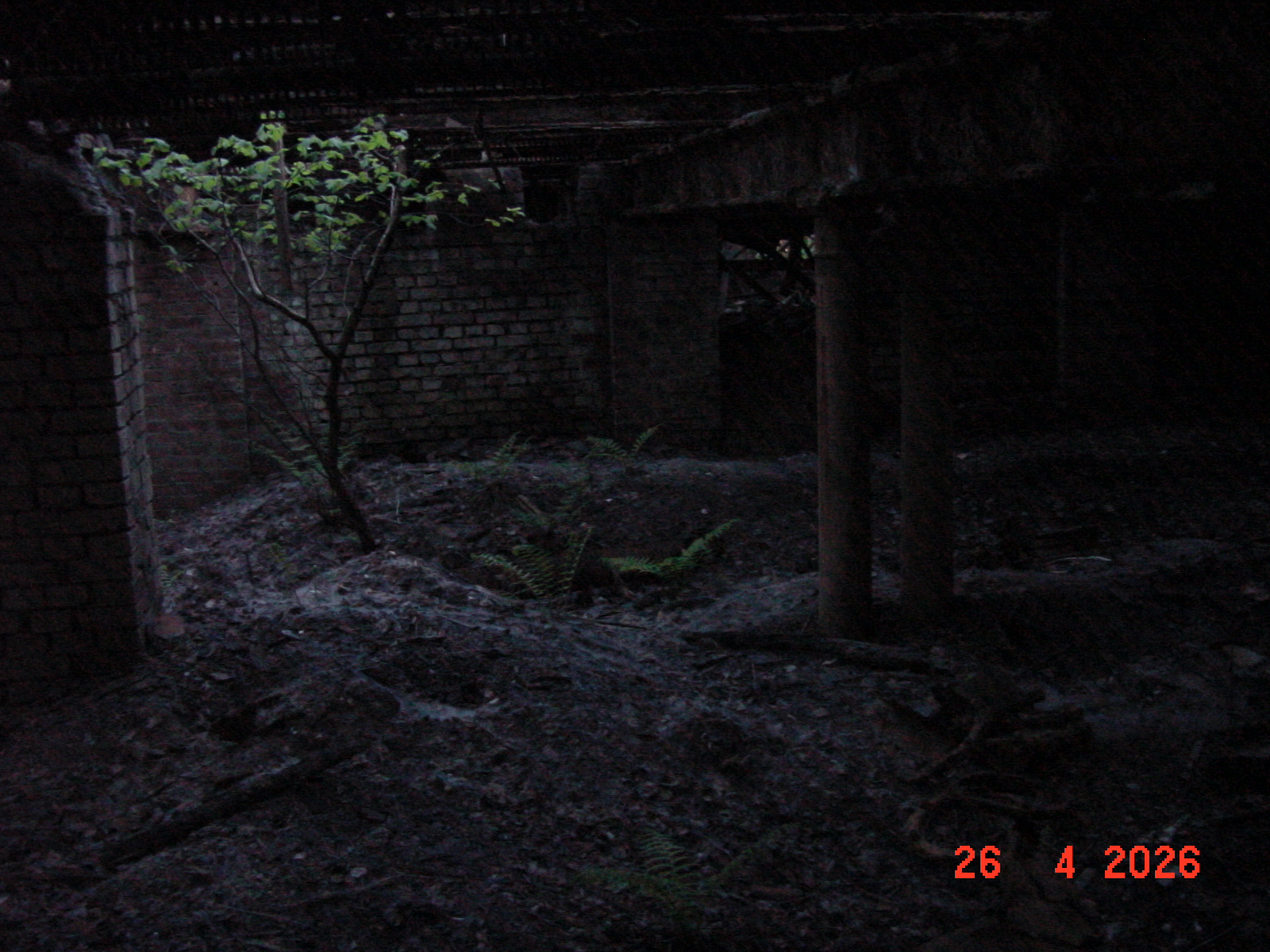 DSC00243.JPG
