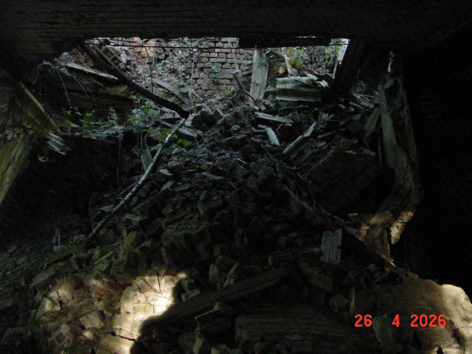 DSC00248.JPG
