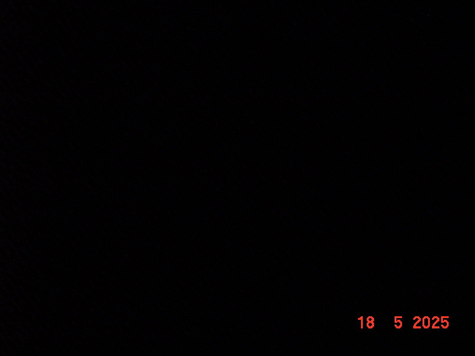 DSC00312.JPG
