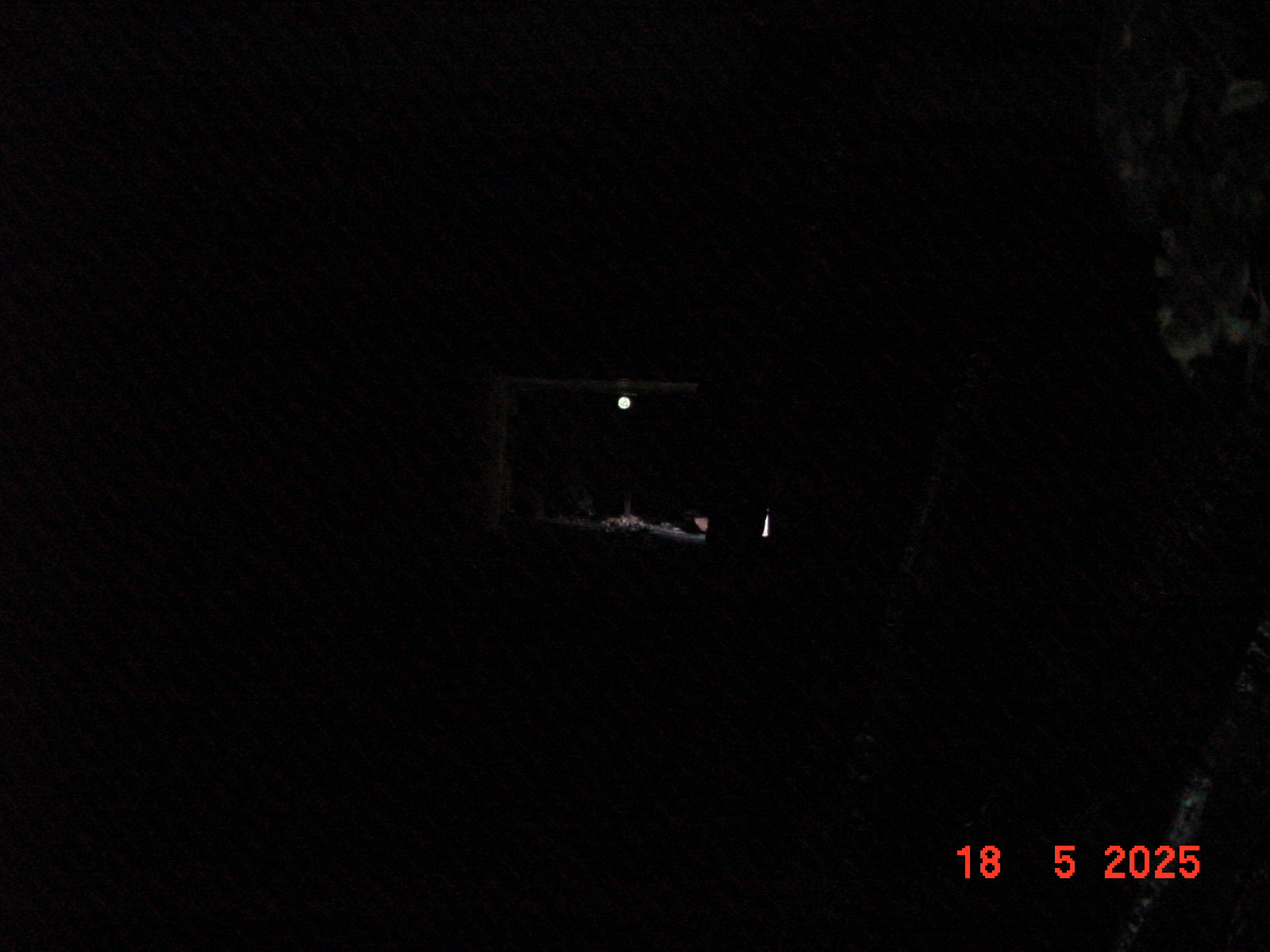 DSC00318.JPG