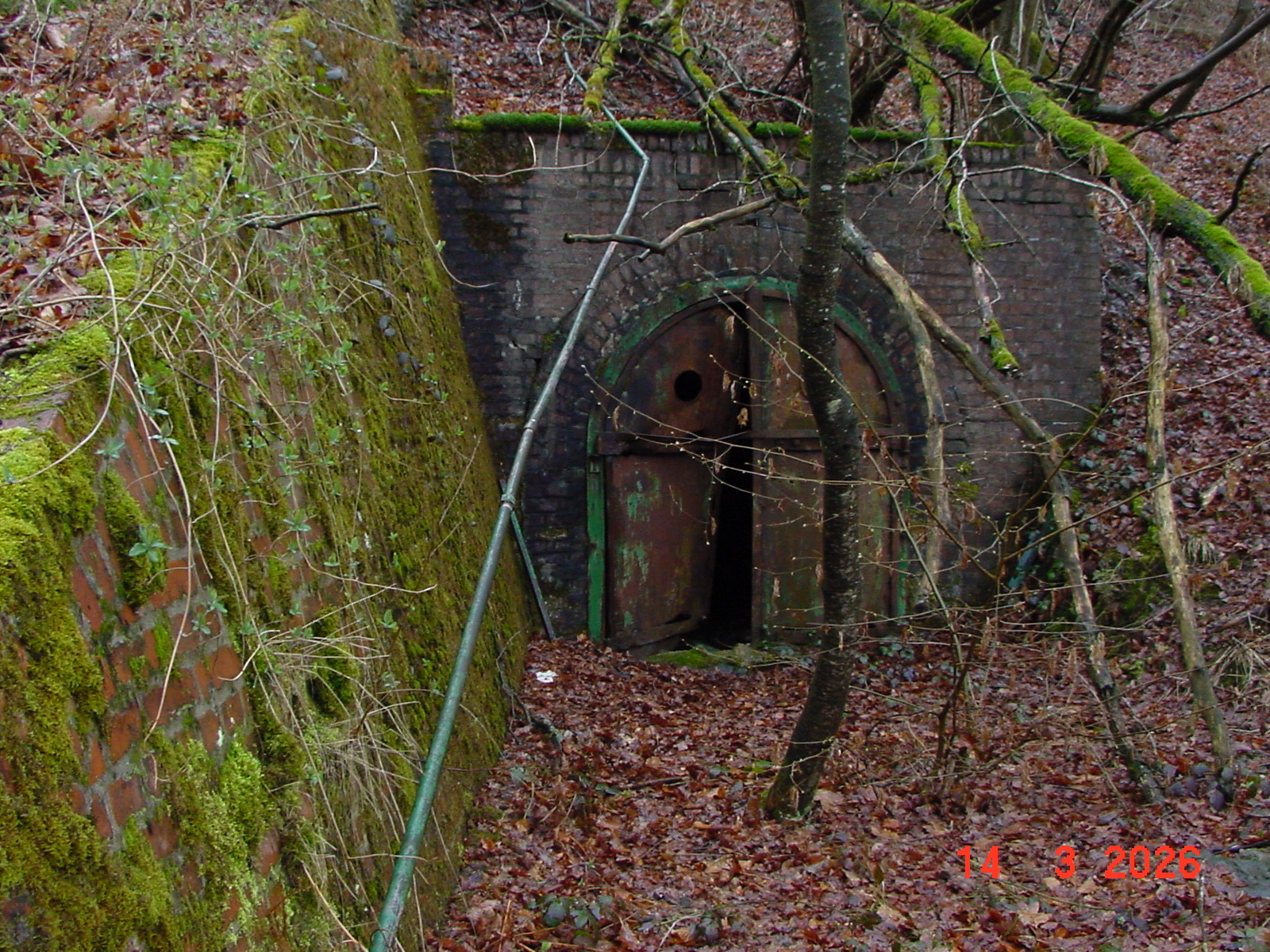 DSC00092.JPG